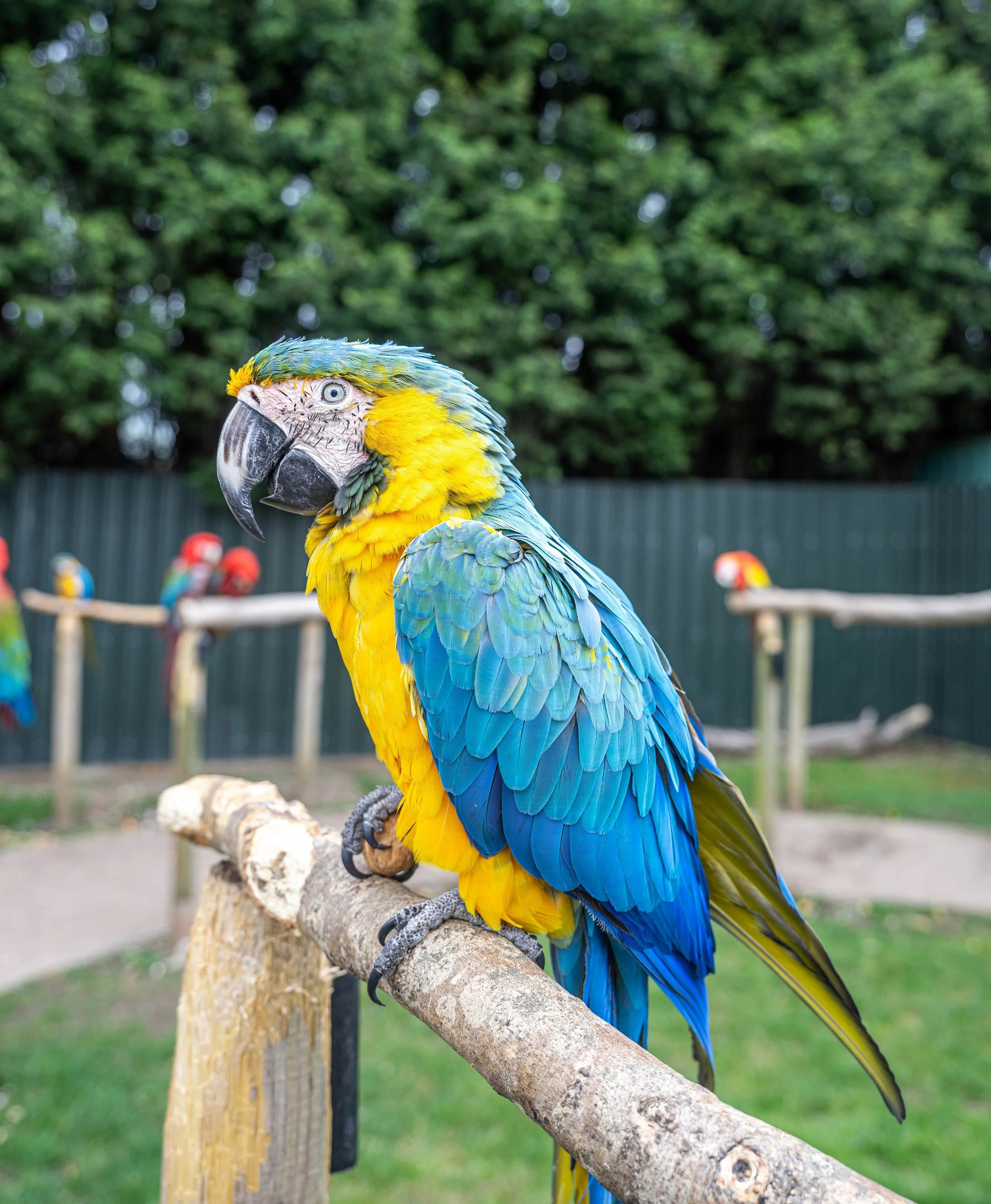 DSC_6302.jpg