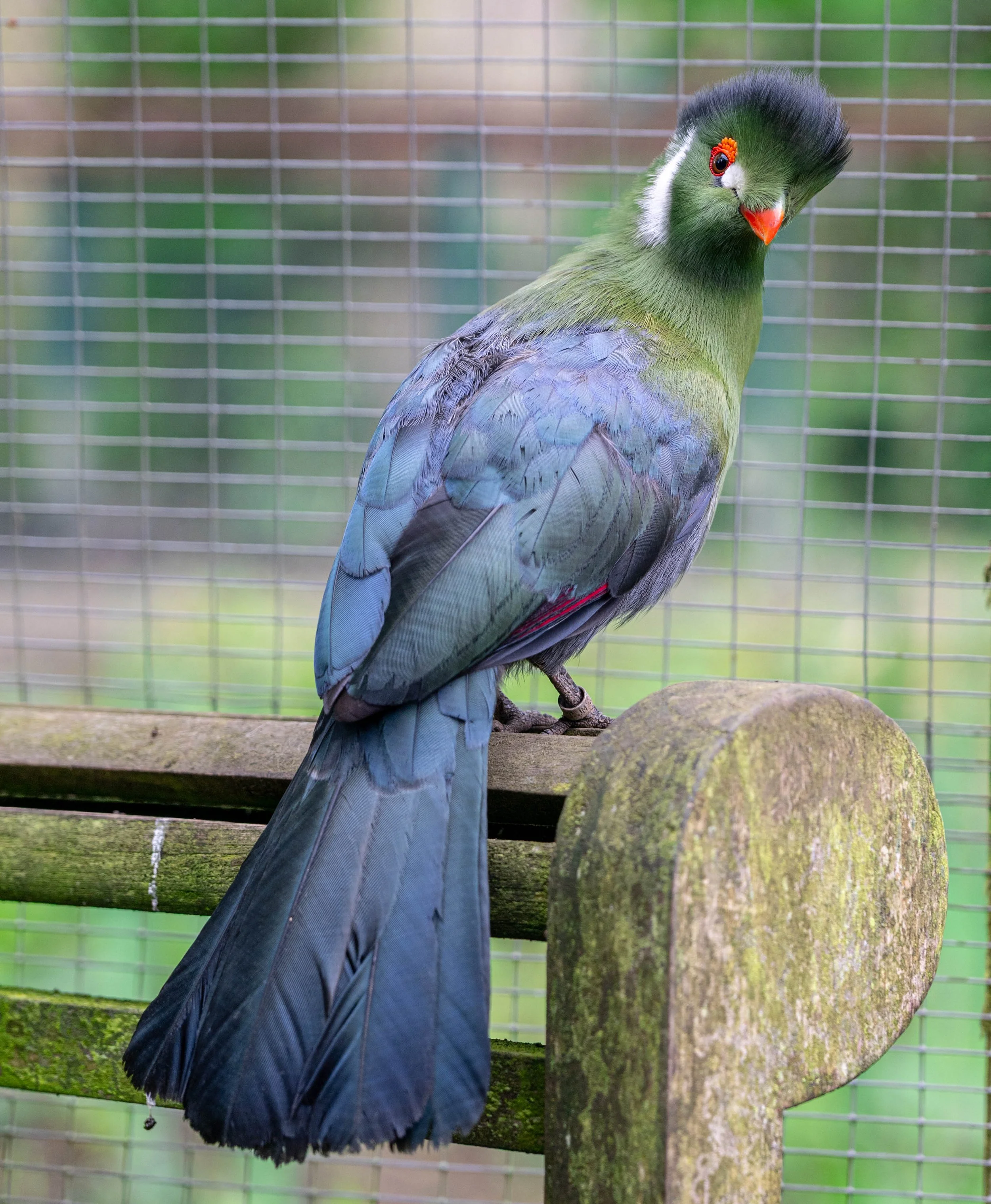 DSC_6167.jpg