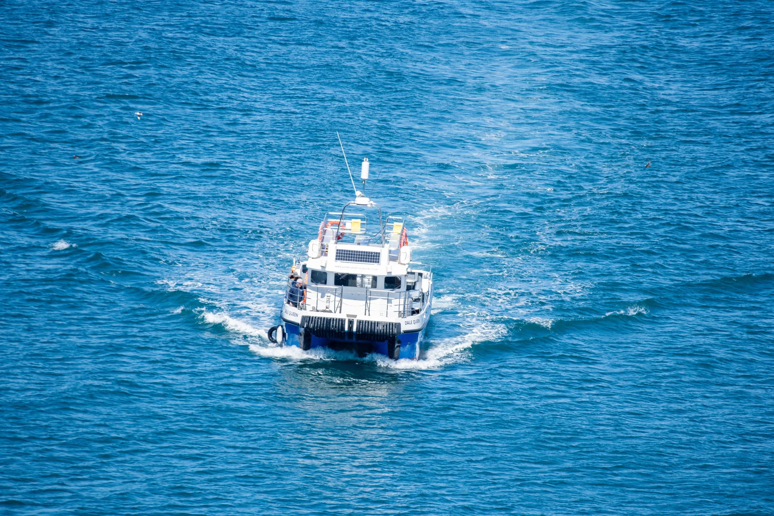 D85_1655.jpg