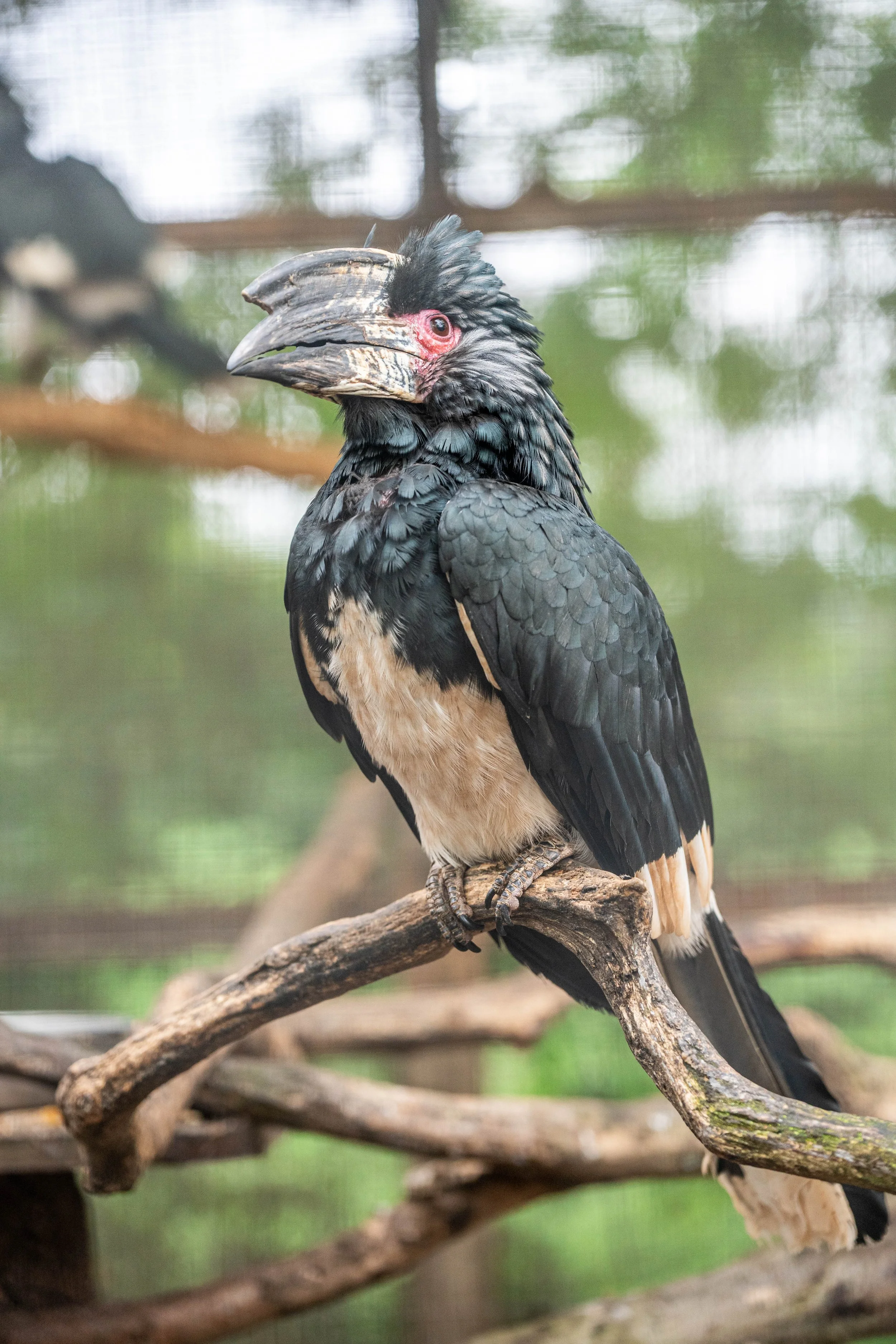 DSC_6250.jpg
