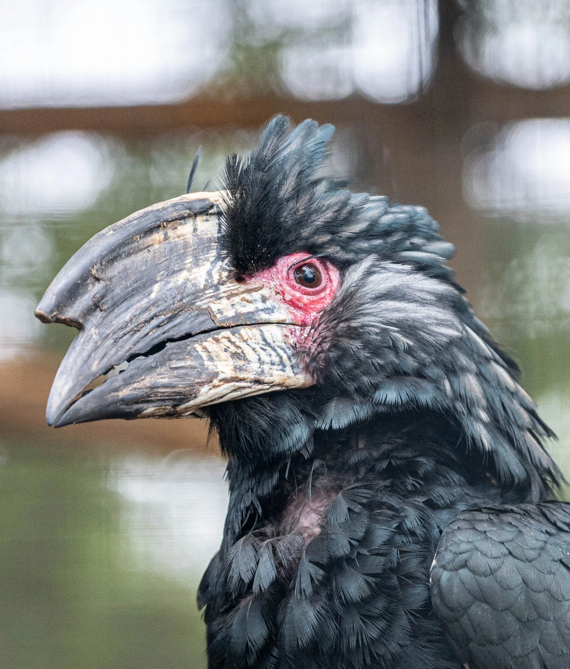 DSC_6258.jpg