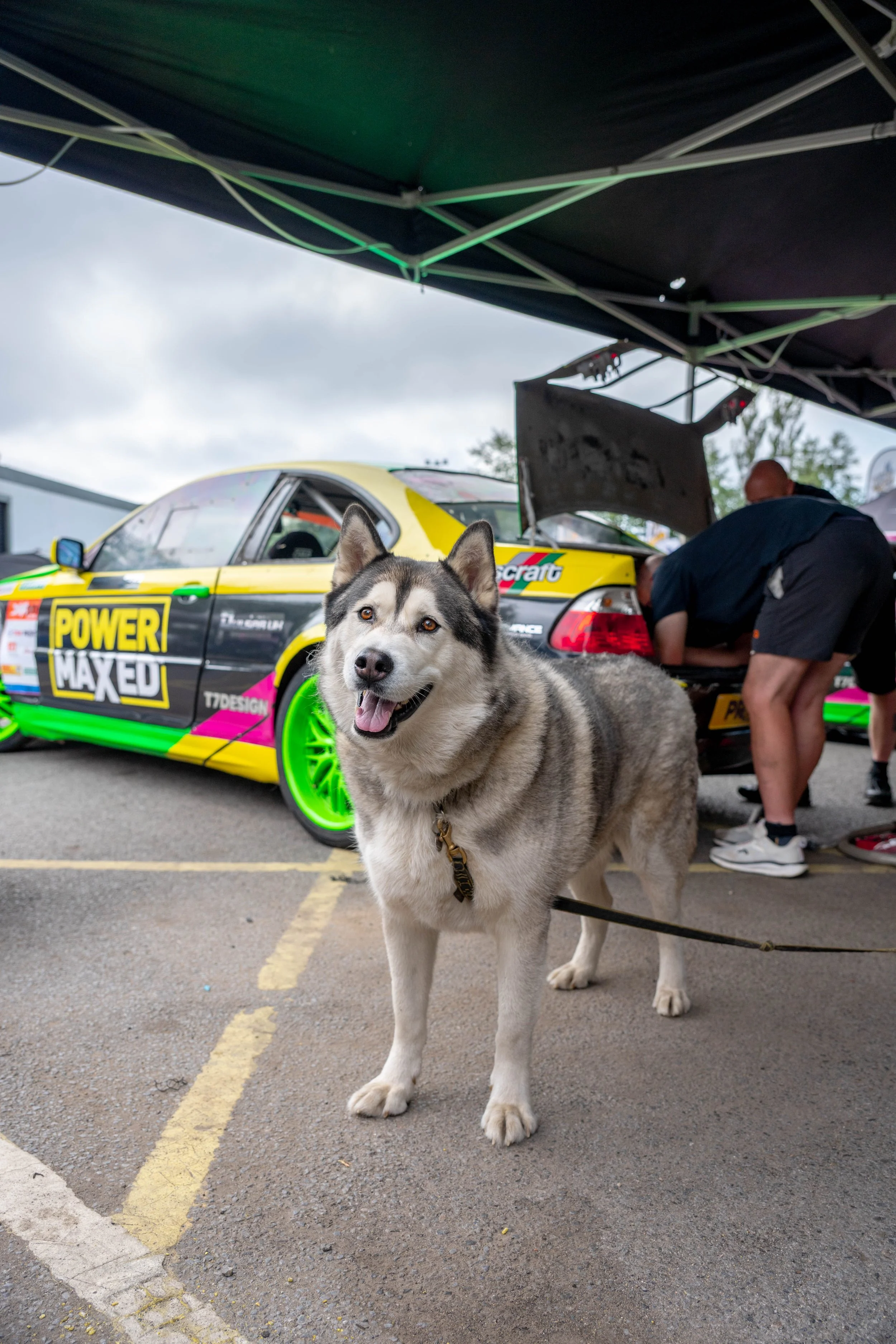 DSC_9171.jpg