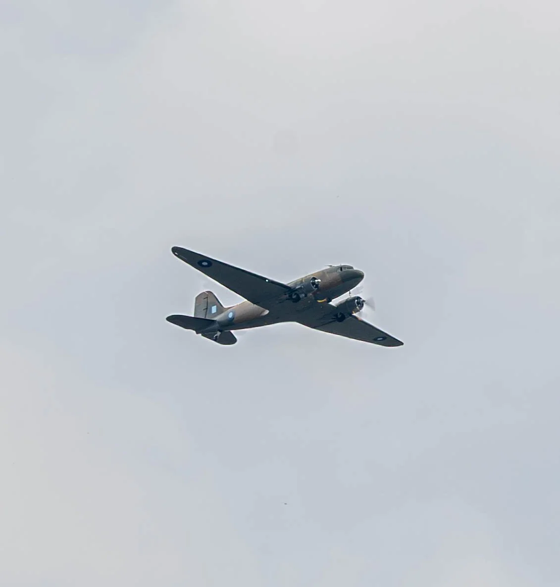 DSC_7911-2.jpg
