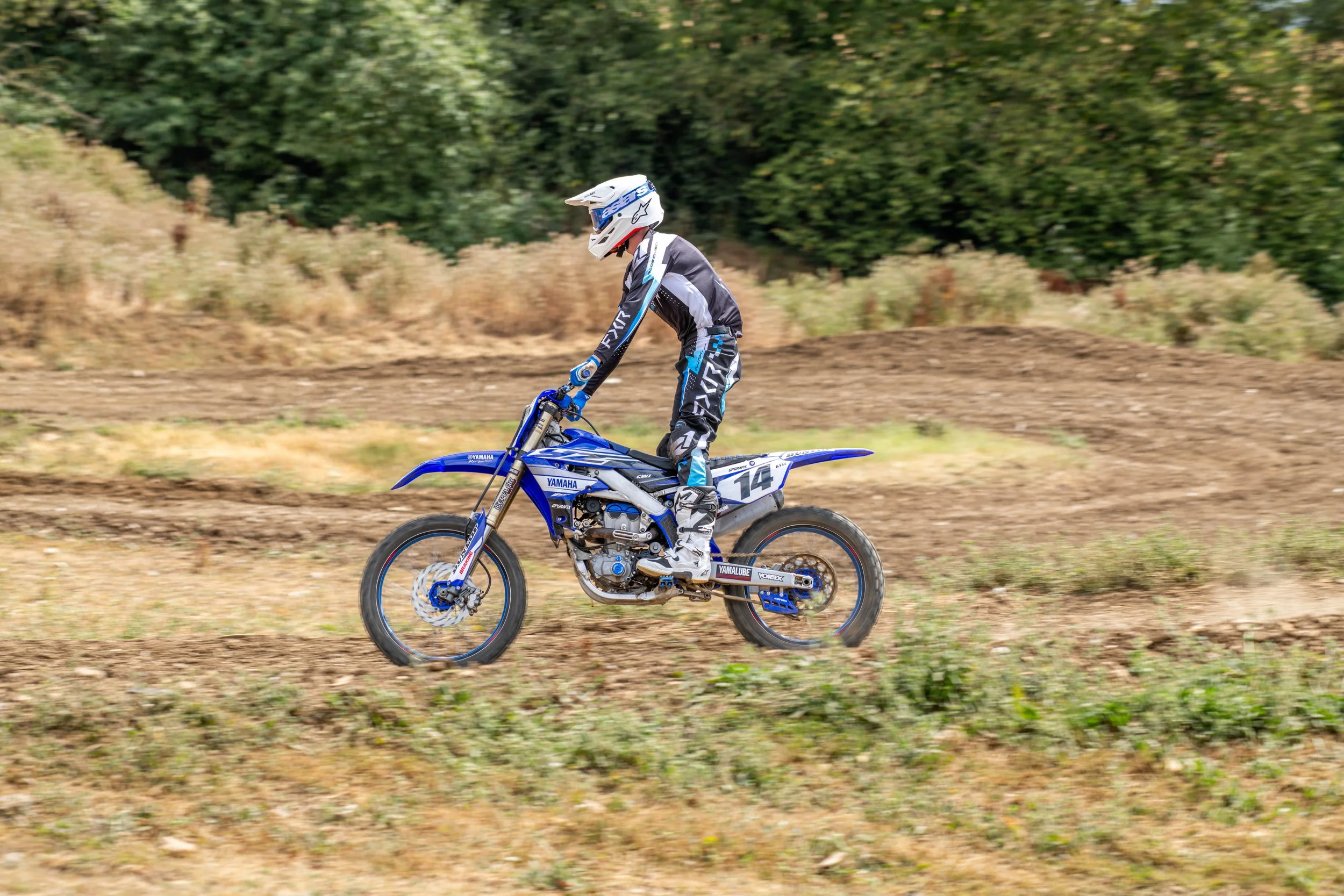 D85_5392.jpg