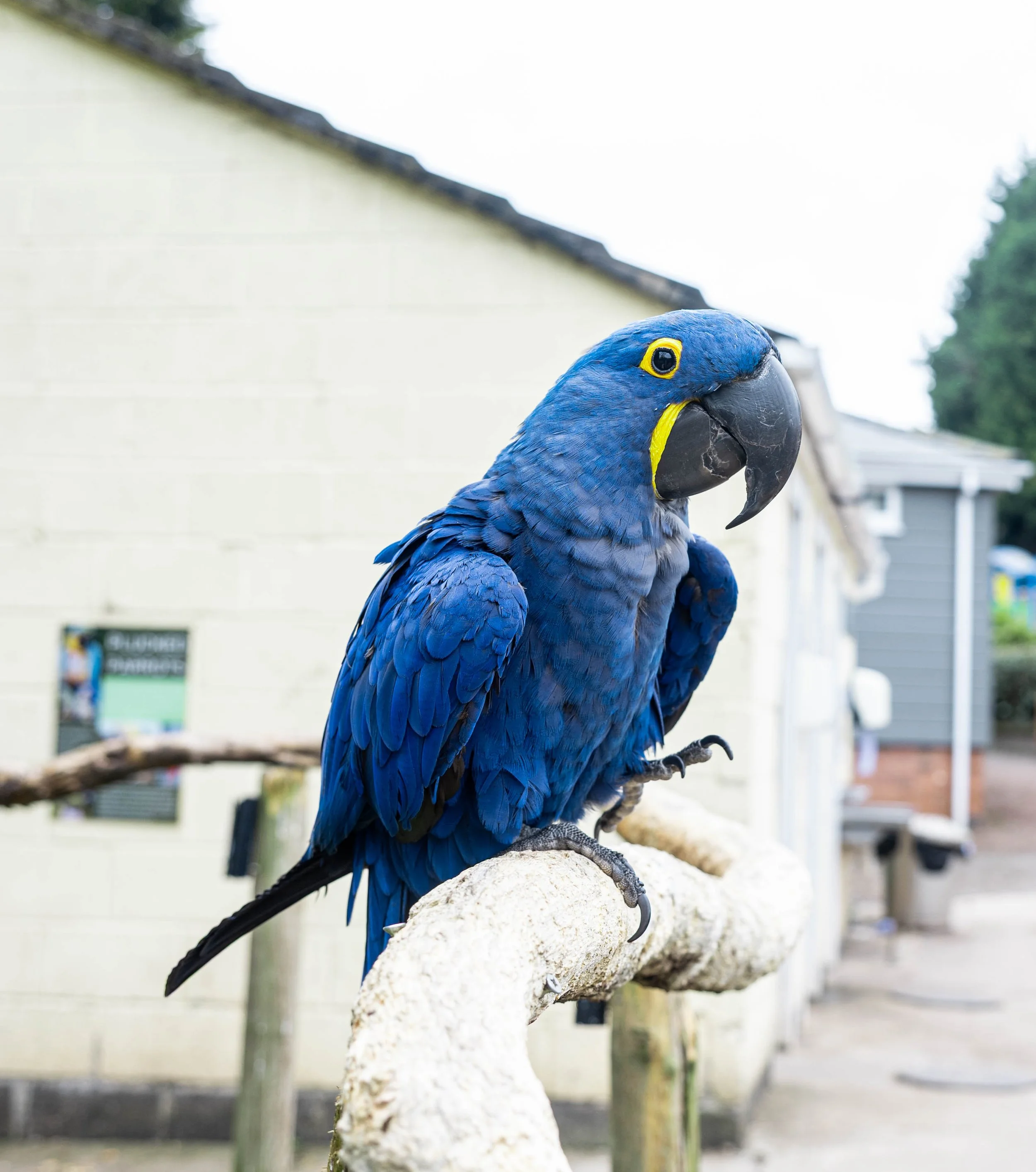 DSC_6298.jpg