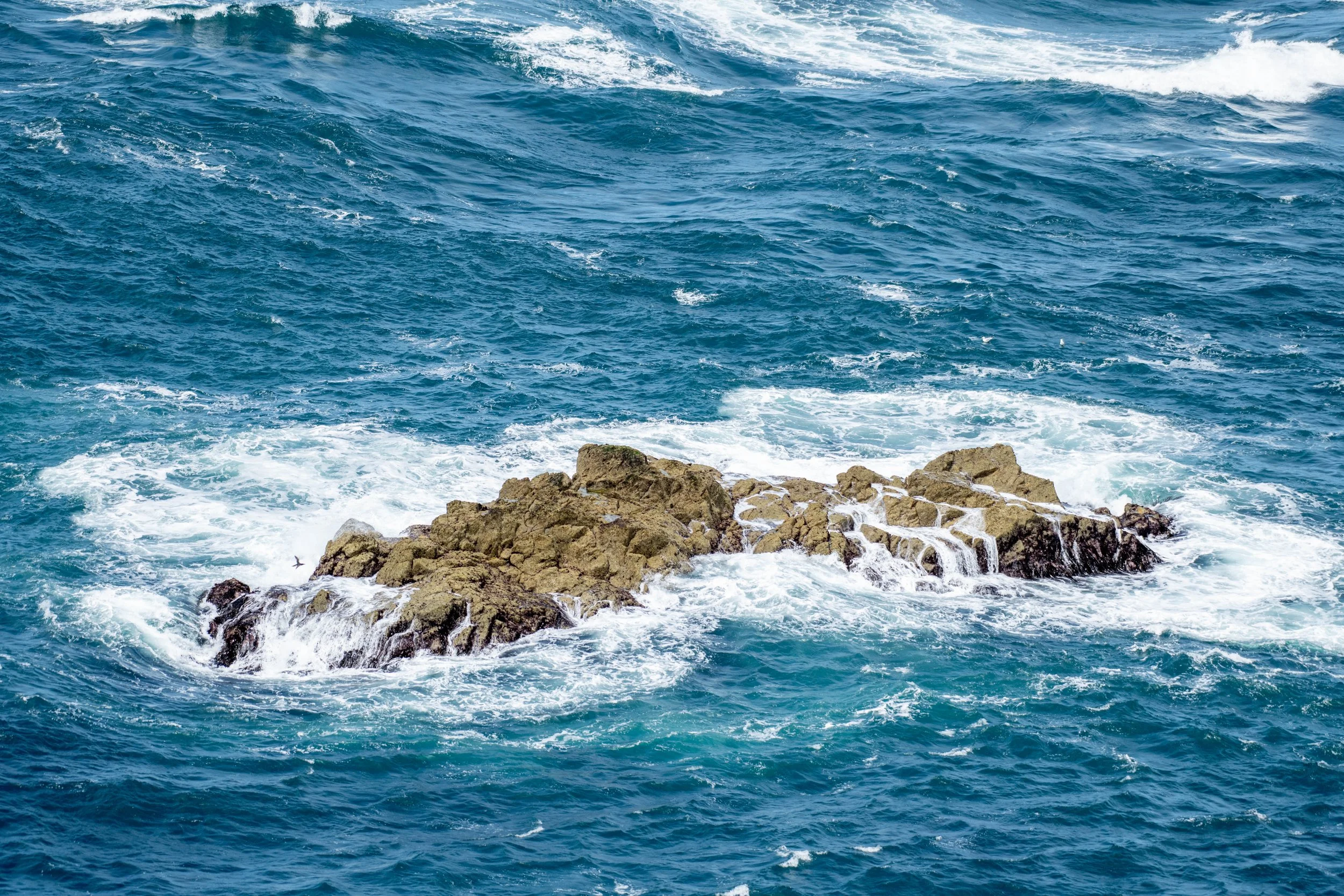 D85_1289.jpg