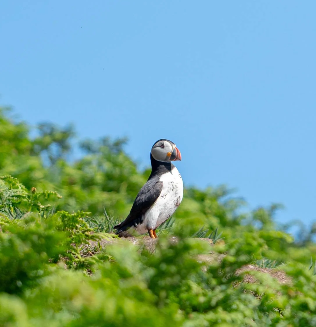 DSC_6599.jpg