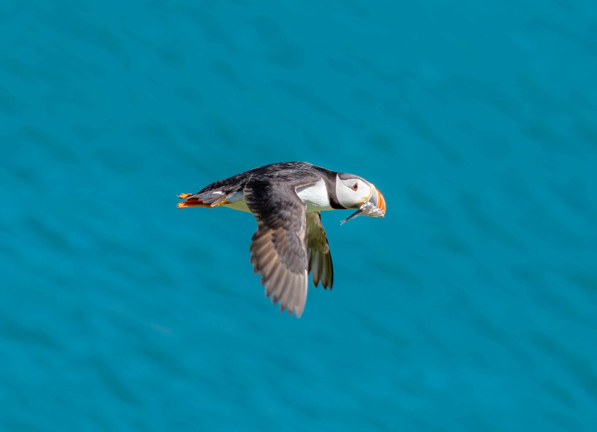 D85_1771-3.jpg