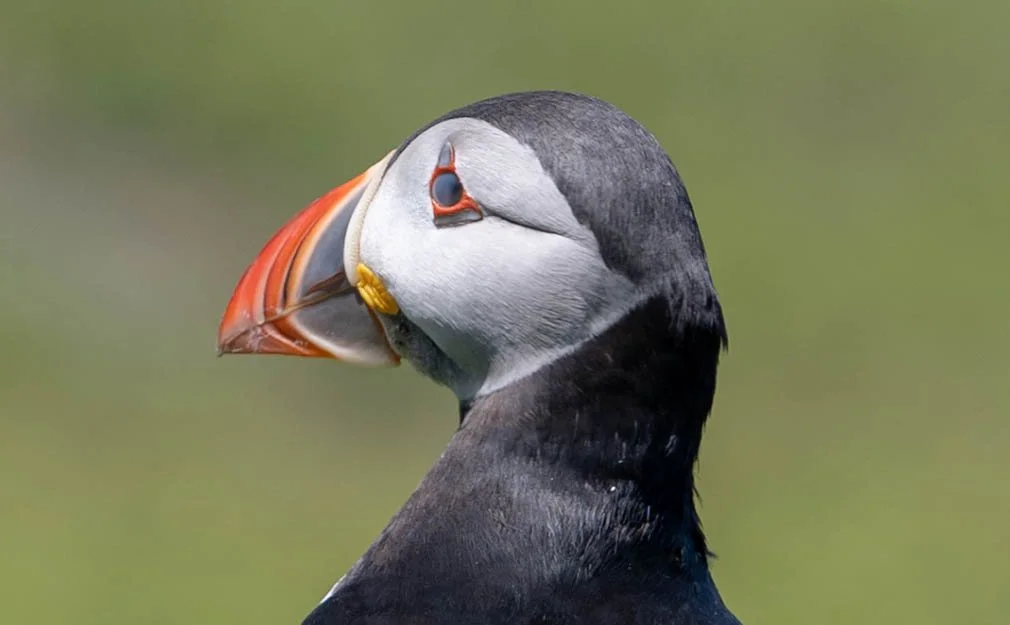 DSC_6660.jpg
