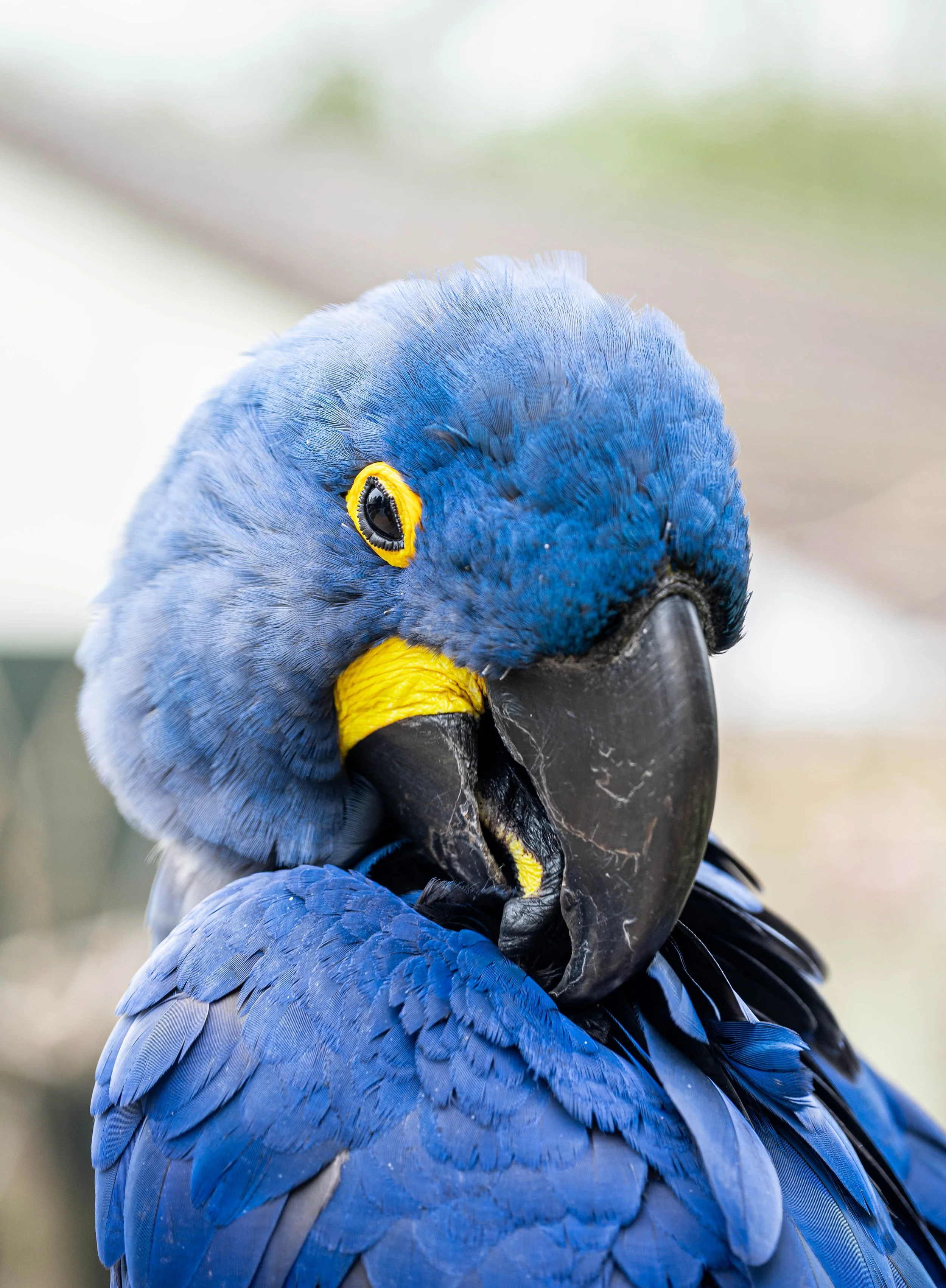 DSC_6331.jpg