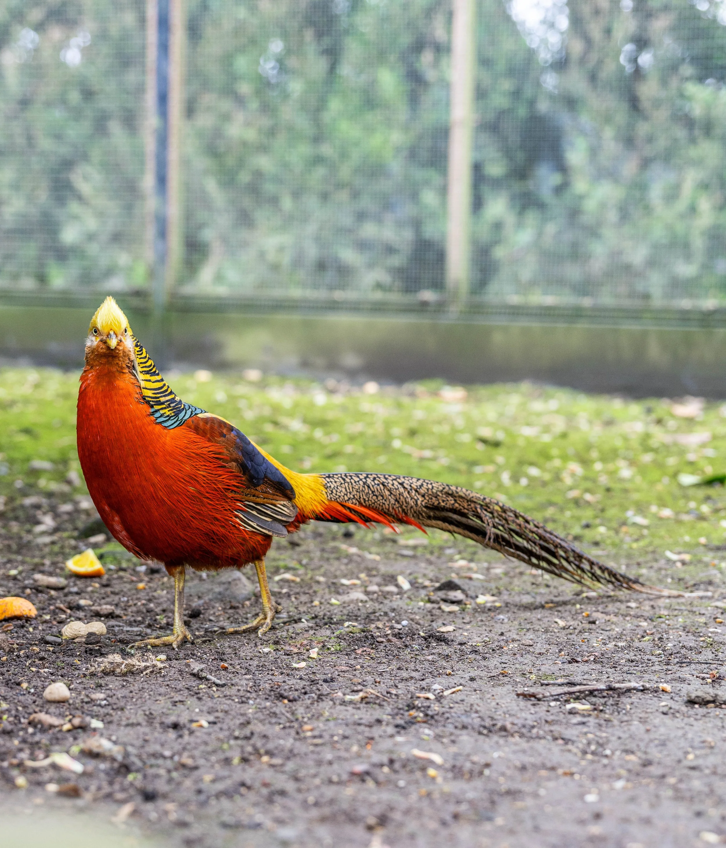 DSC_6176.jpg