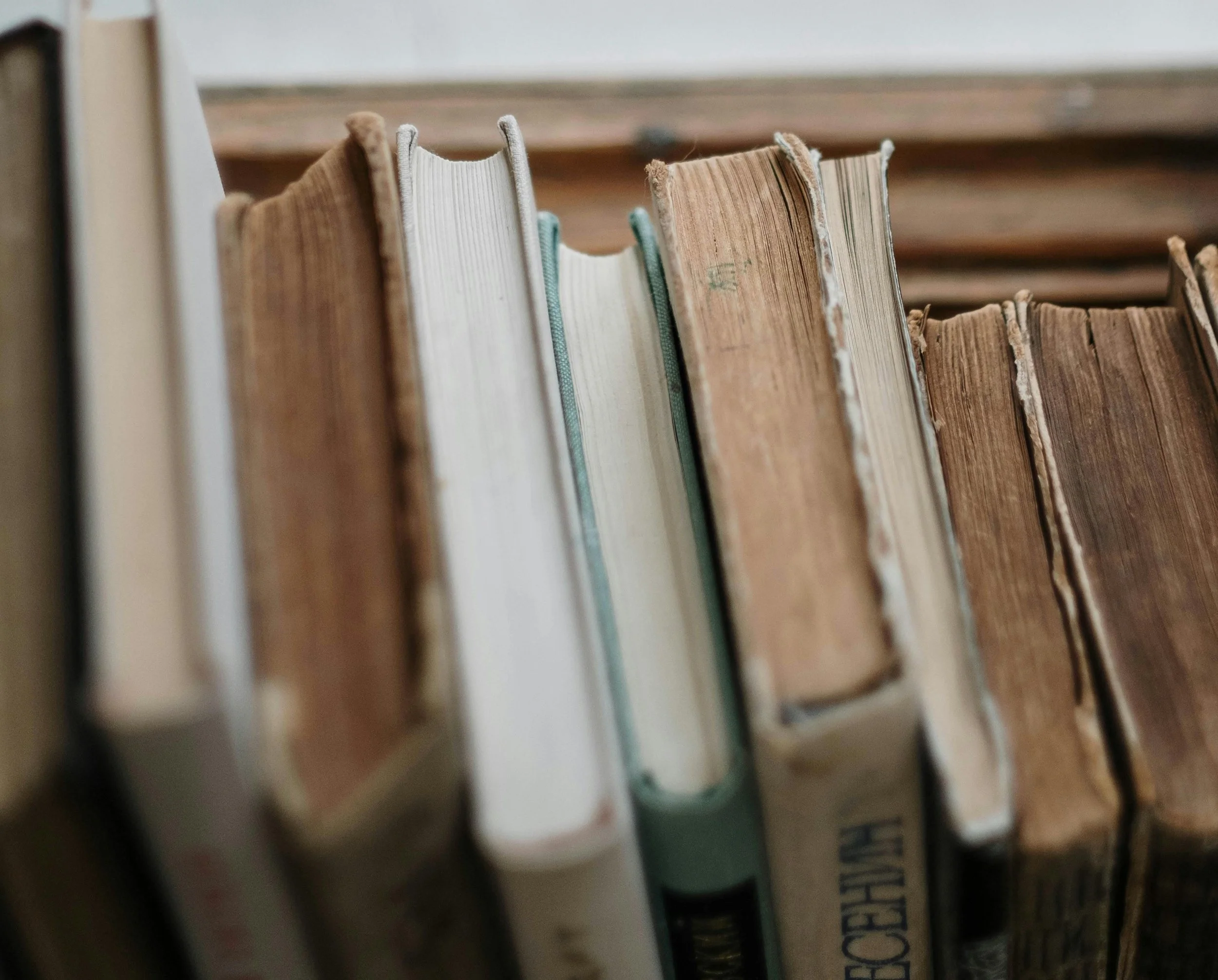 February 2025 Newsletter: The Power of the Past