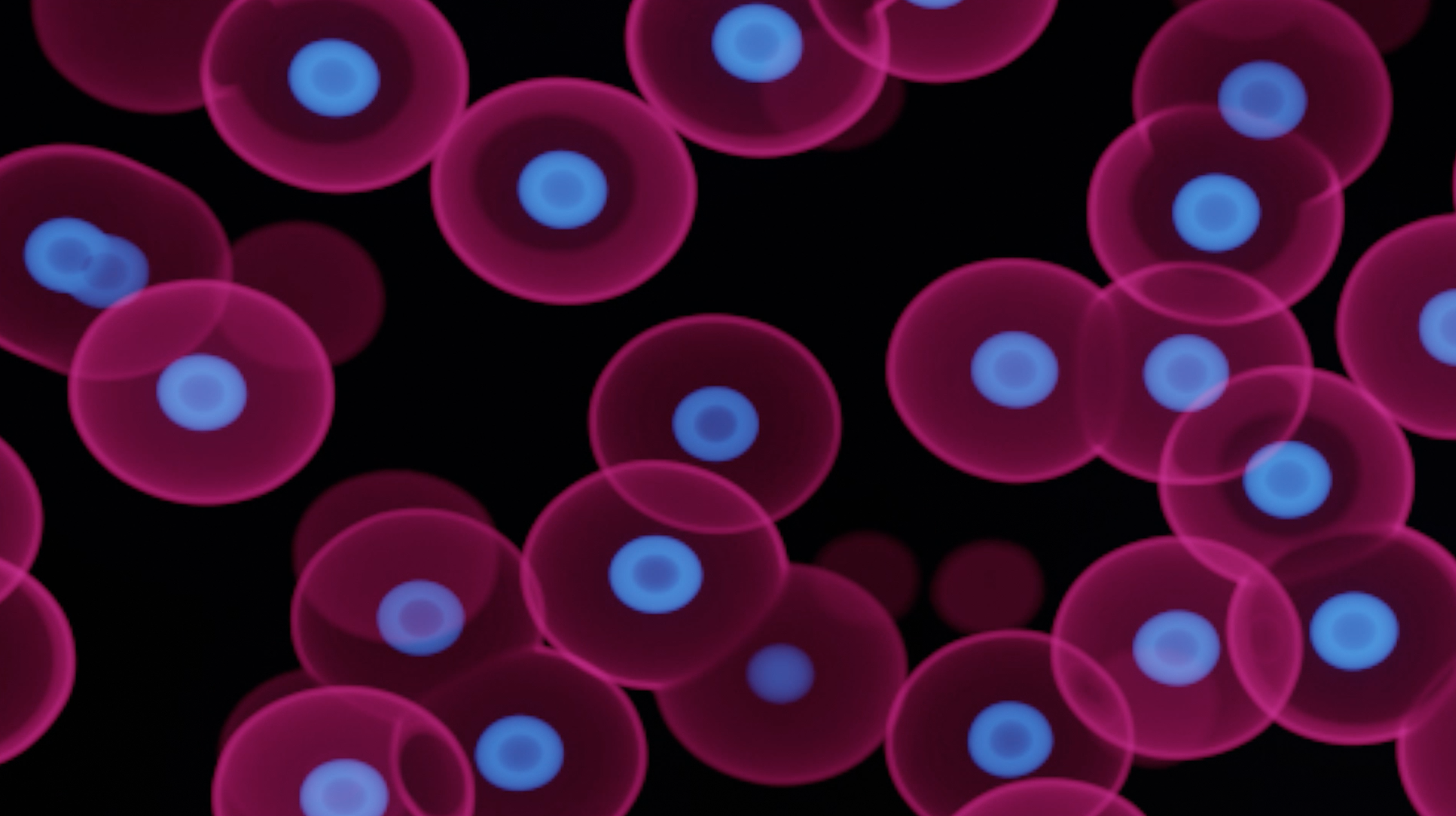 Screenshot 2025-11-21 at 3.05.39 PM.png