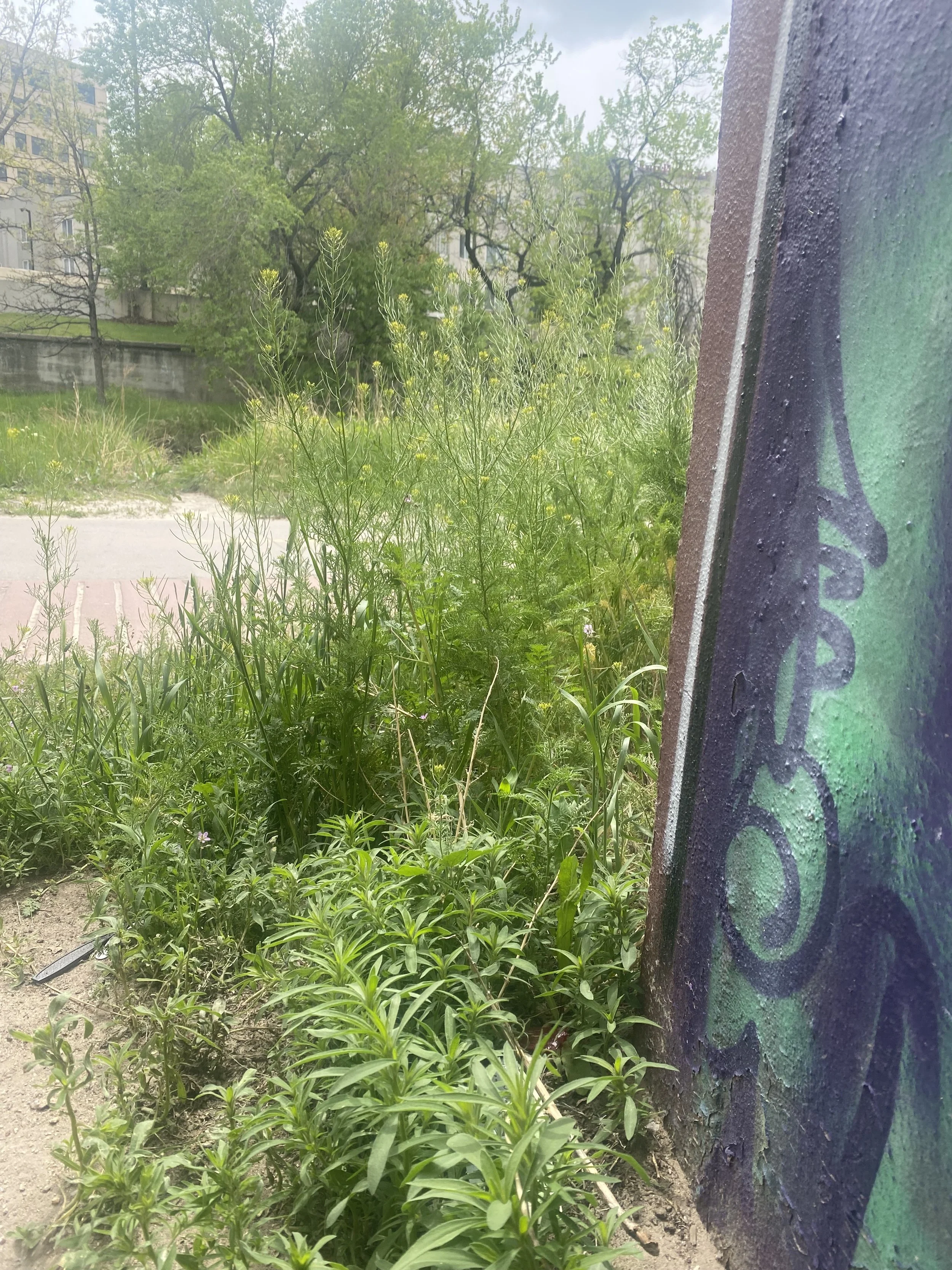 30 minute personal tarot reading