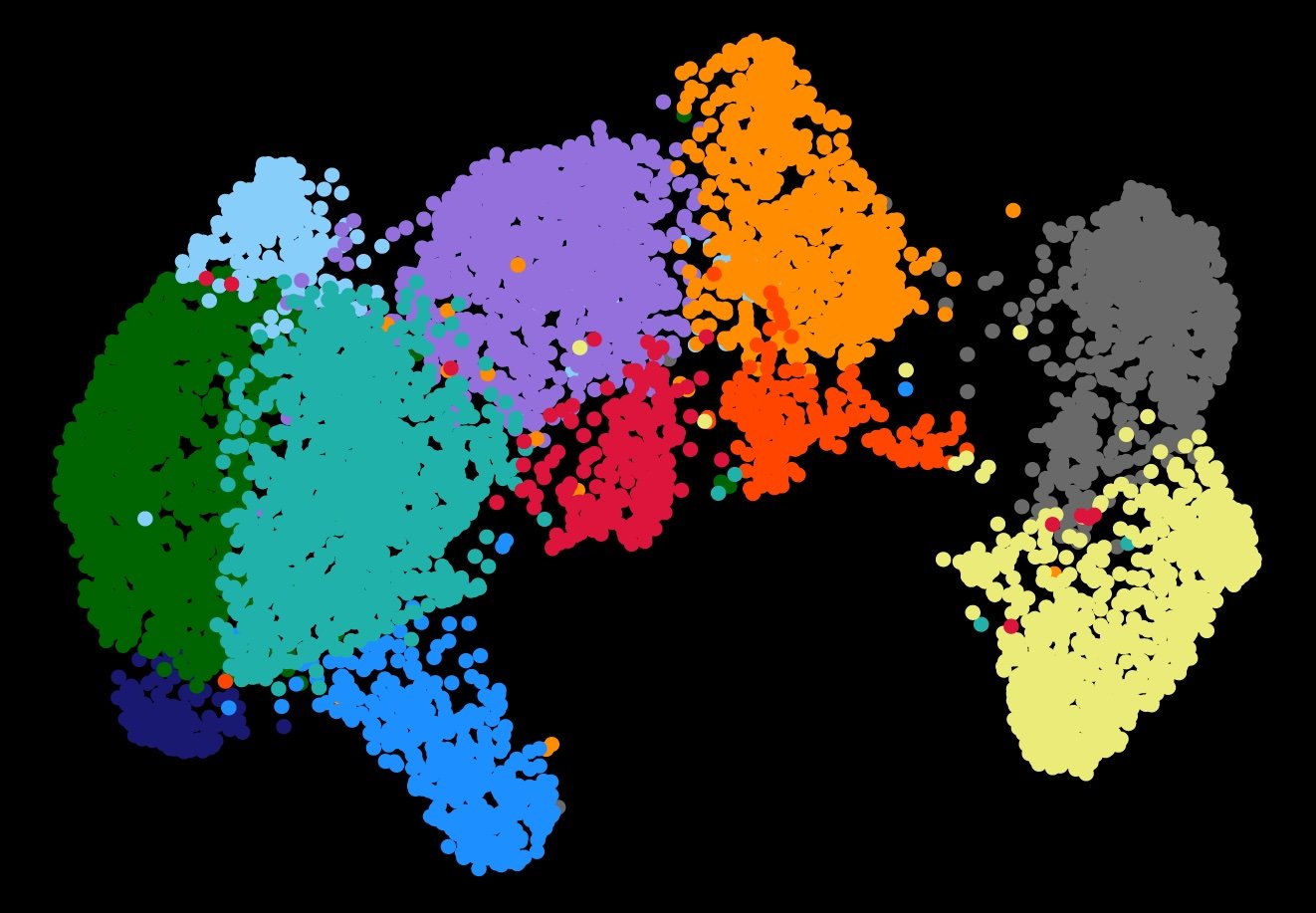 UMAP embedding of exhausted CD8 T cells from mice with relapsed myeloma