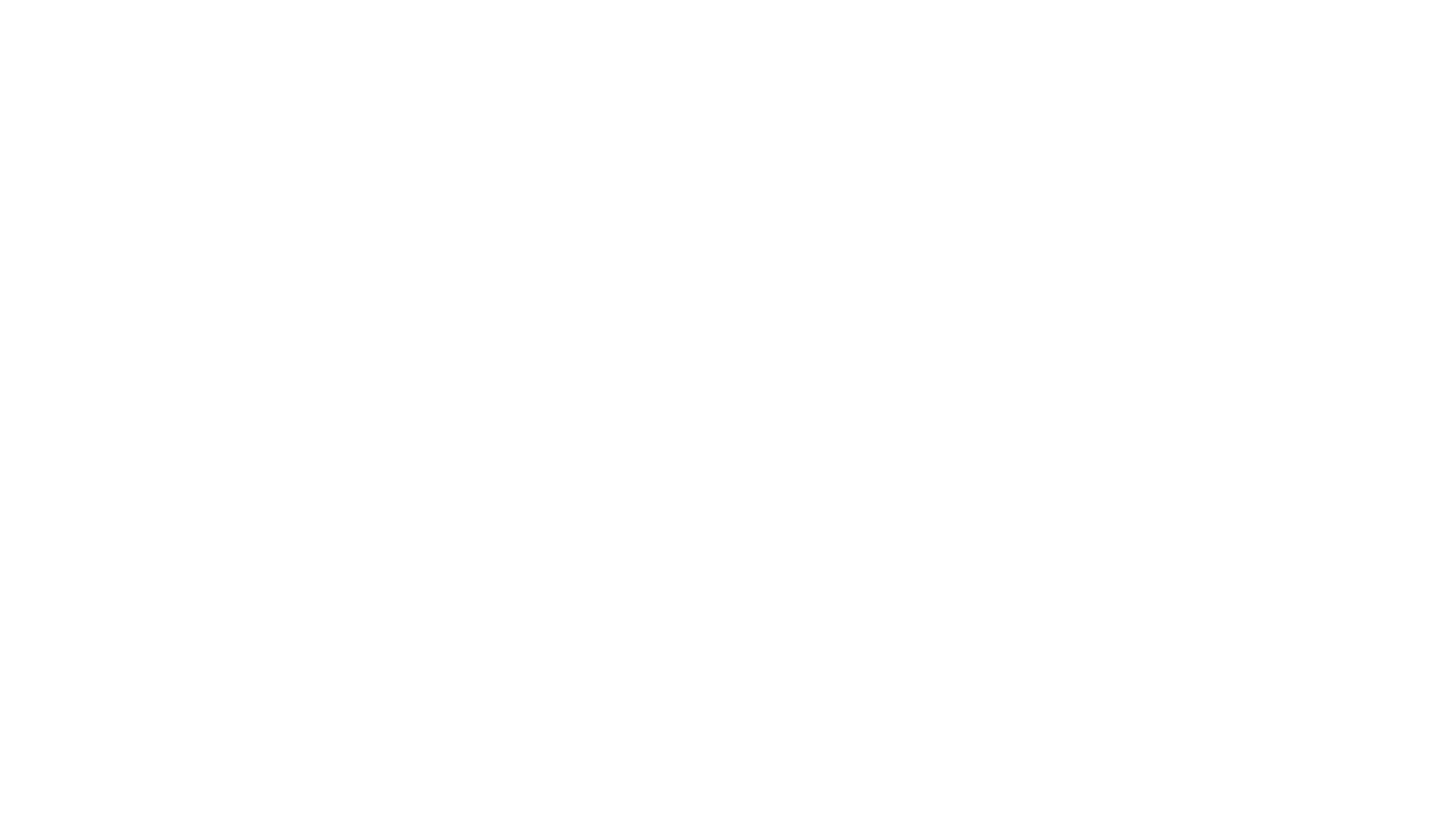 the venegas group