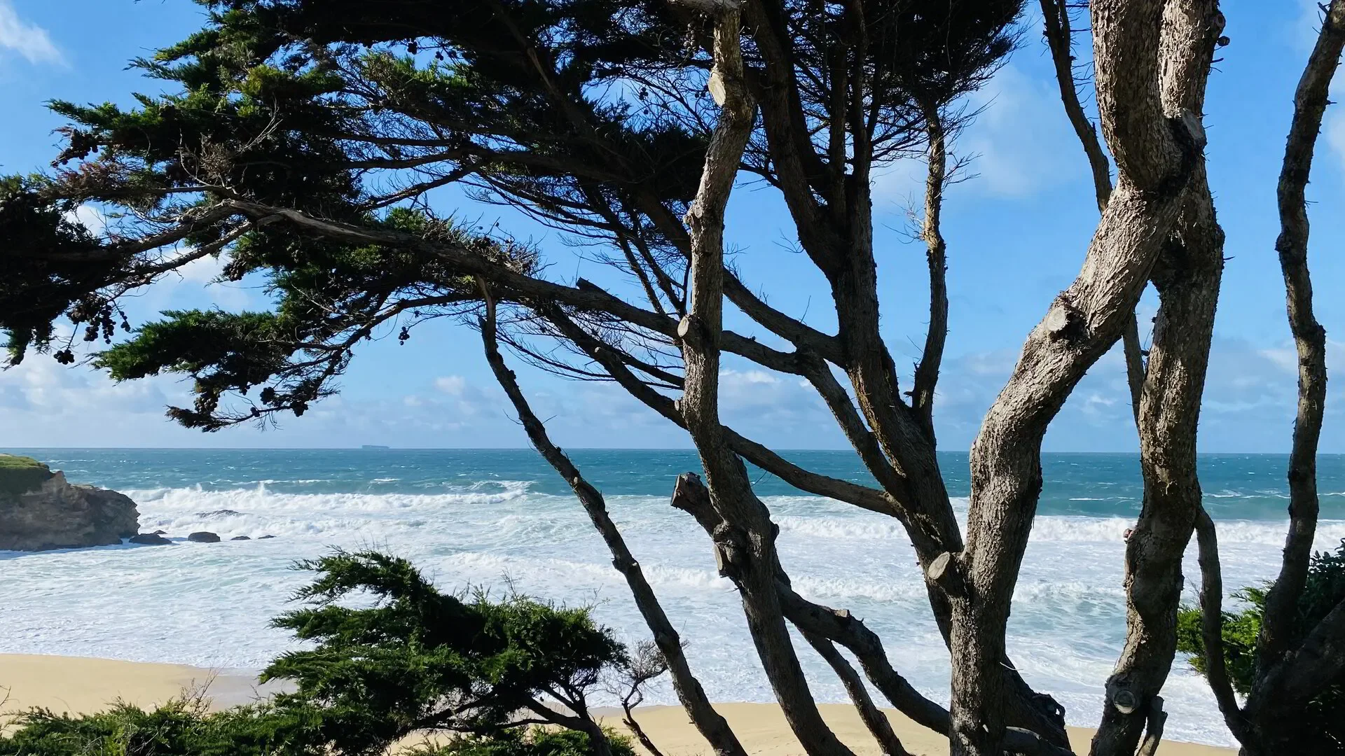 Joy and Lasting Change for 2024