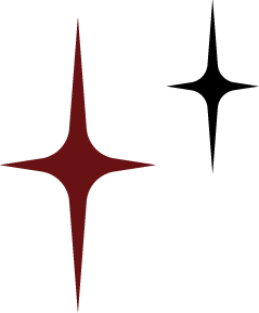 A stylized starburst graphic with a pointed design in reddish-brown color on a black background.