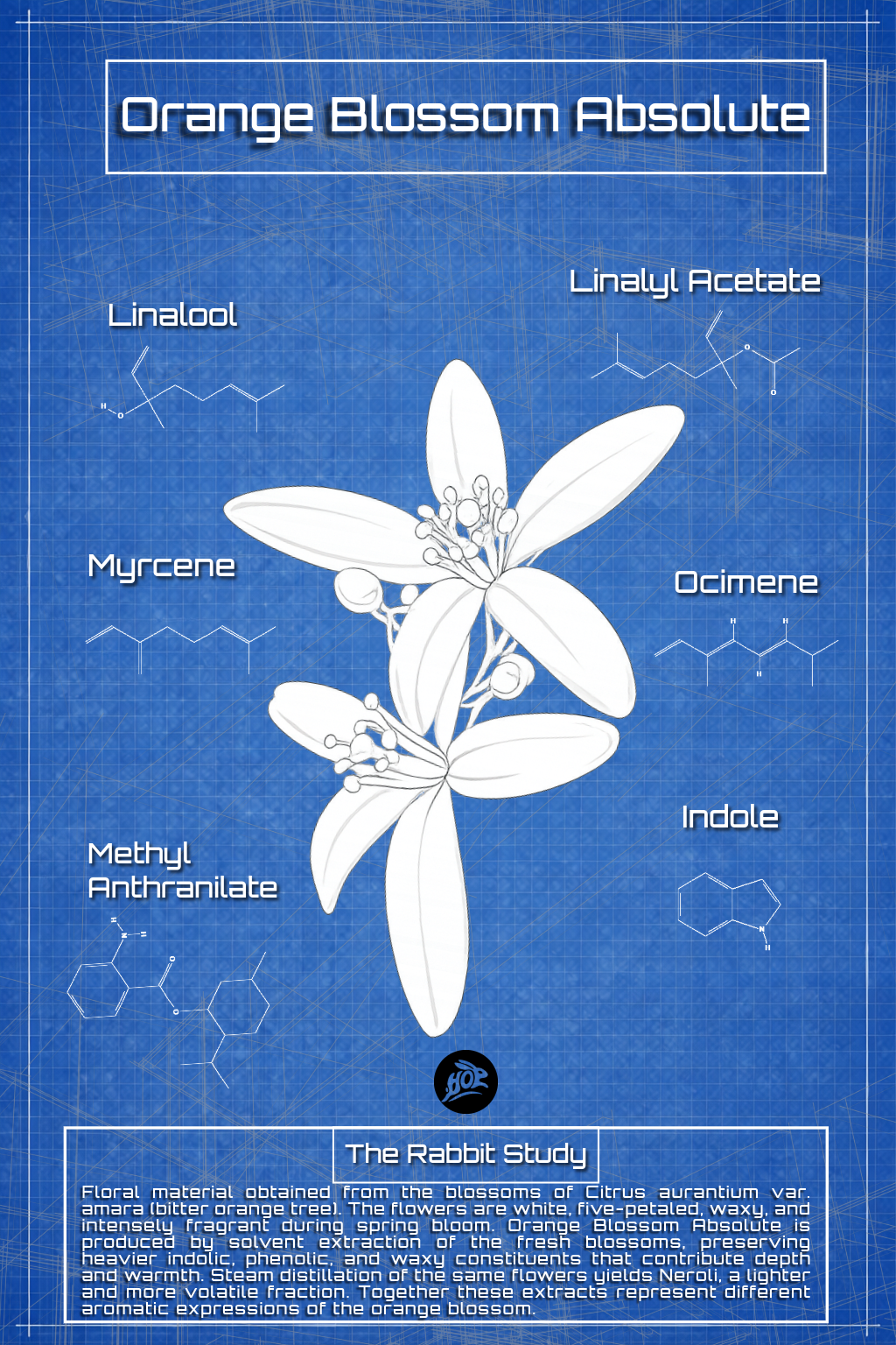 Orange Blossom Blueprint