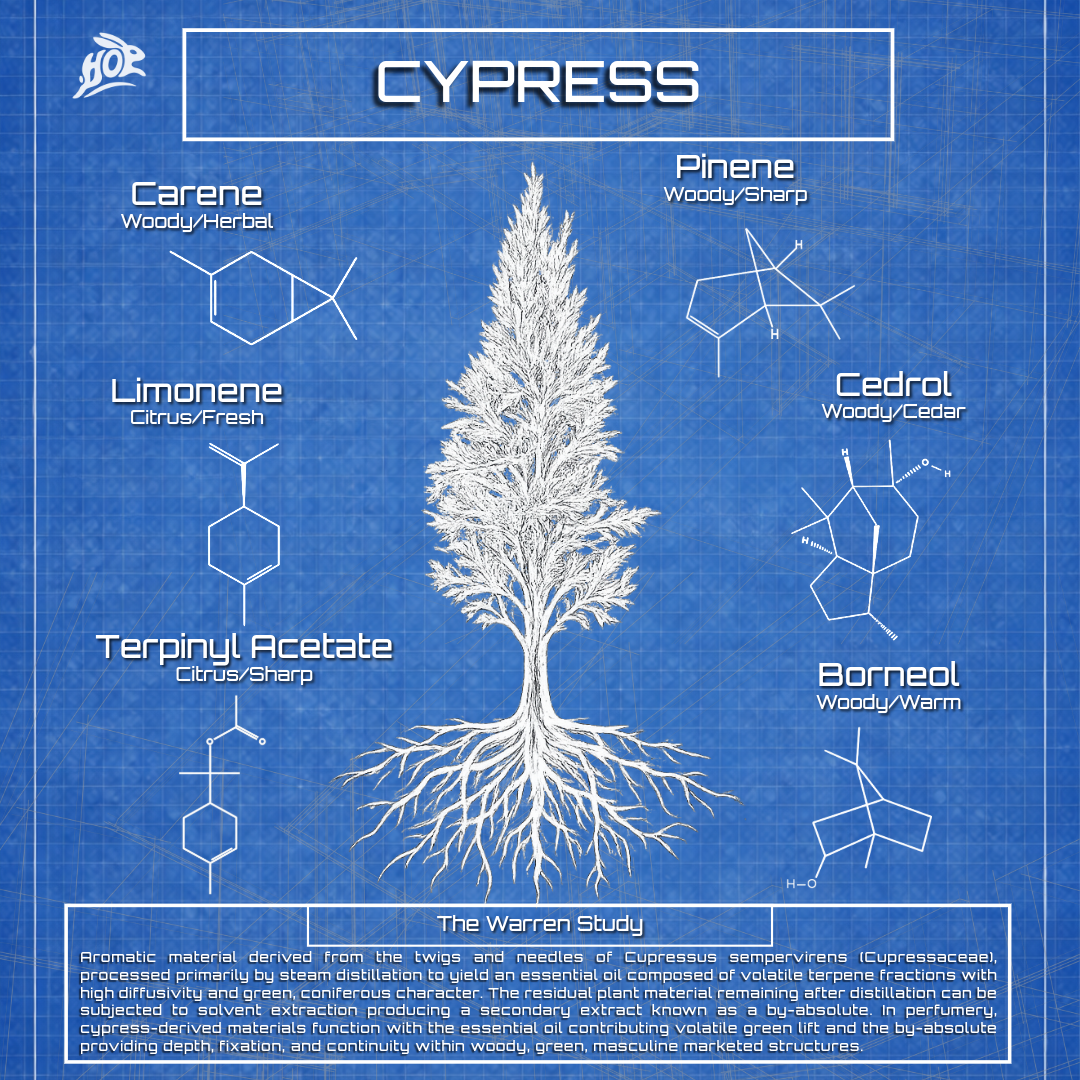 Cypress