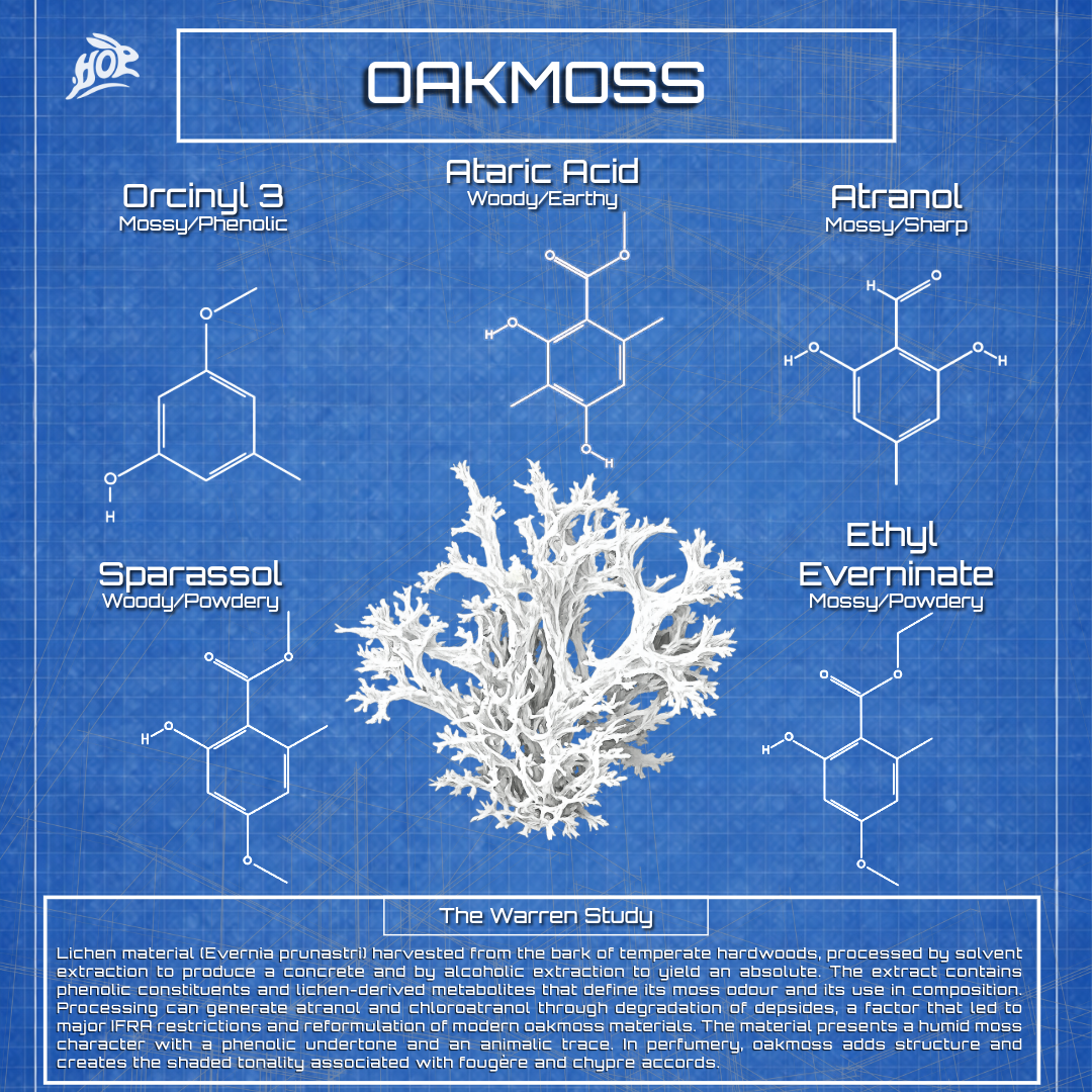 Oakmoss (Evernia prunastri (L.) Ach)