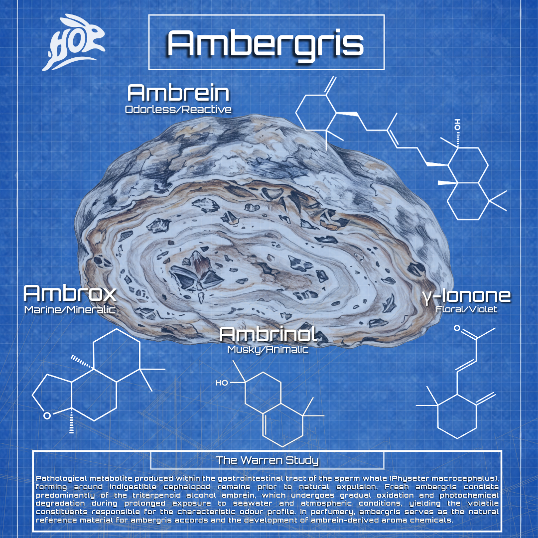 Ambergris