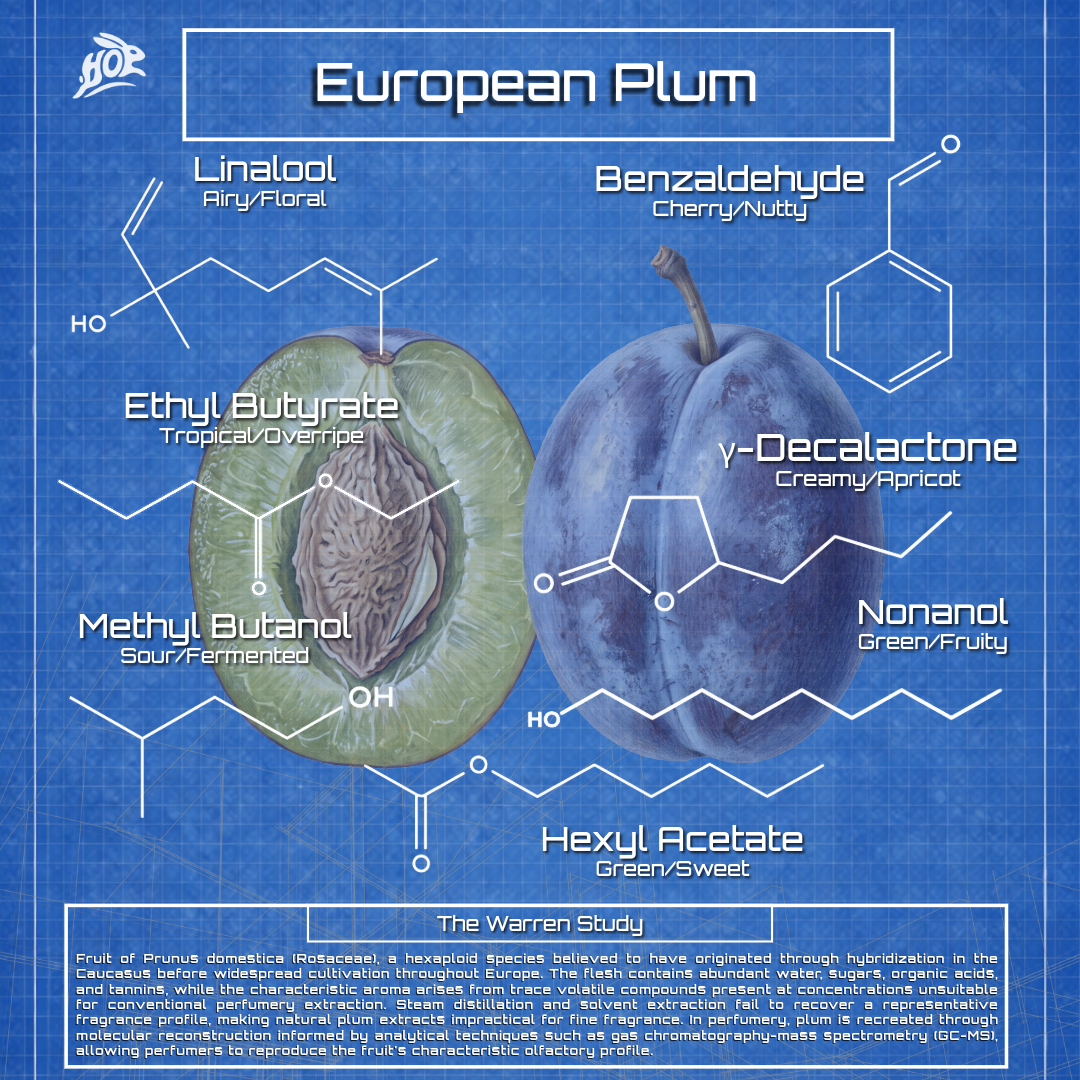 Asian and European Plum: Prunus