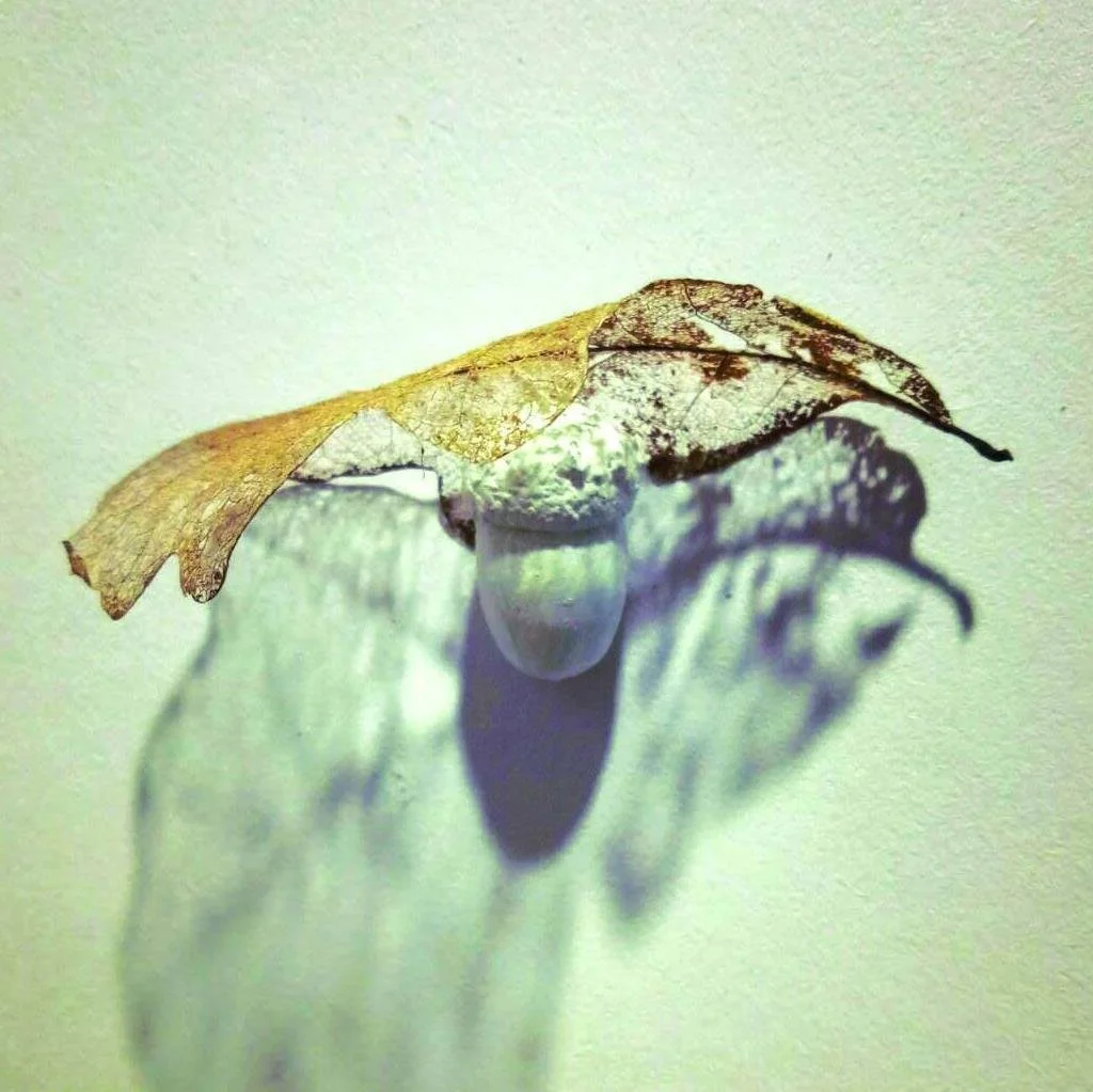 How Calmbirth can heal