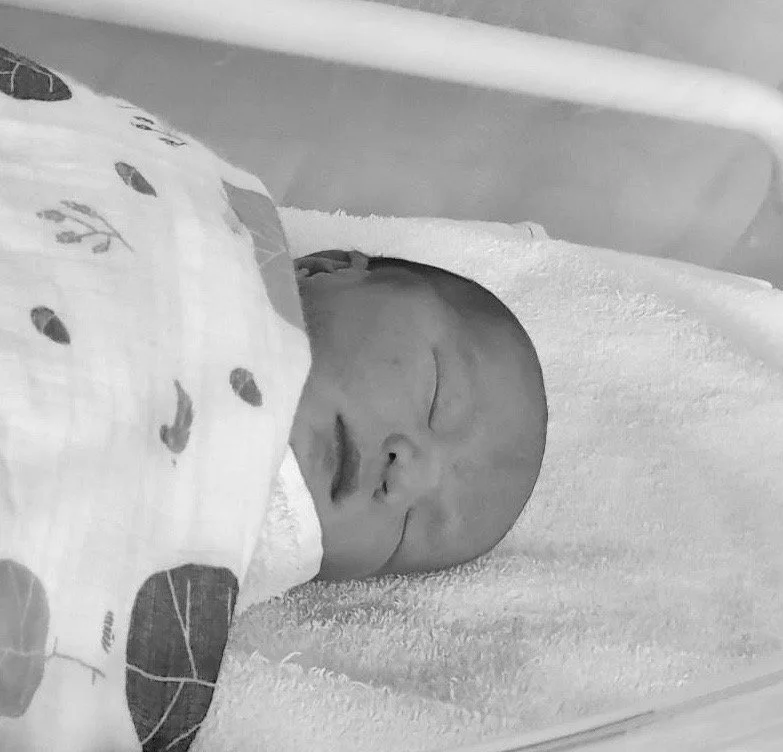 Heath Kam Knightly Harker