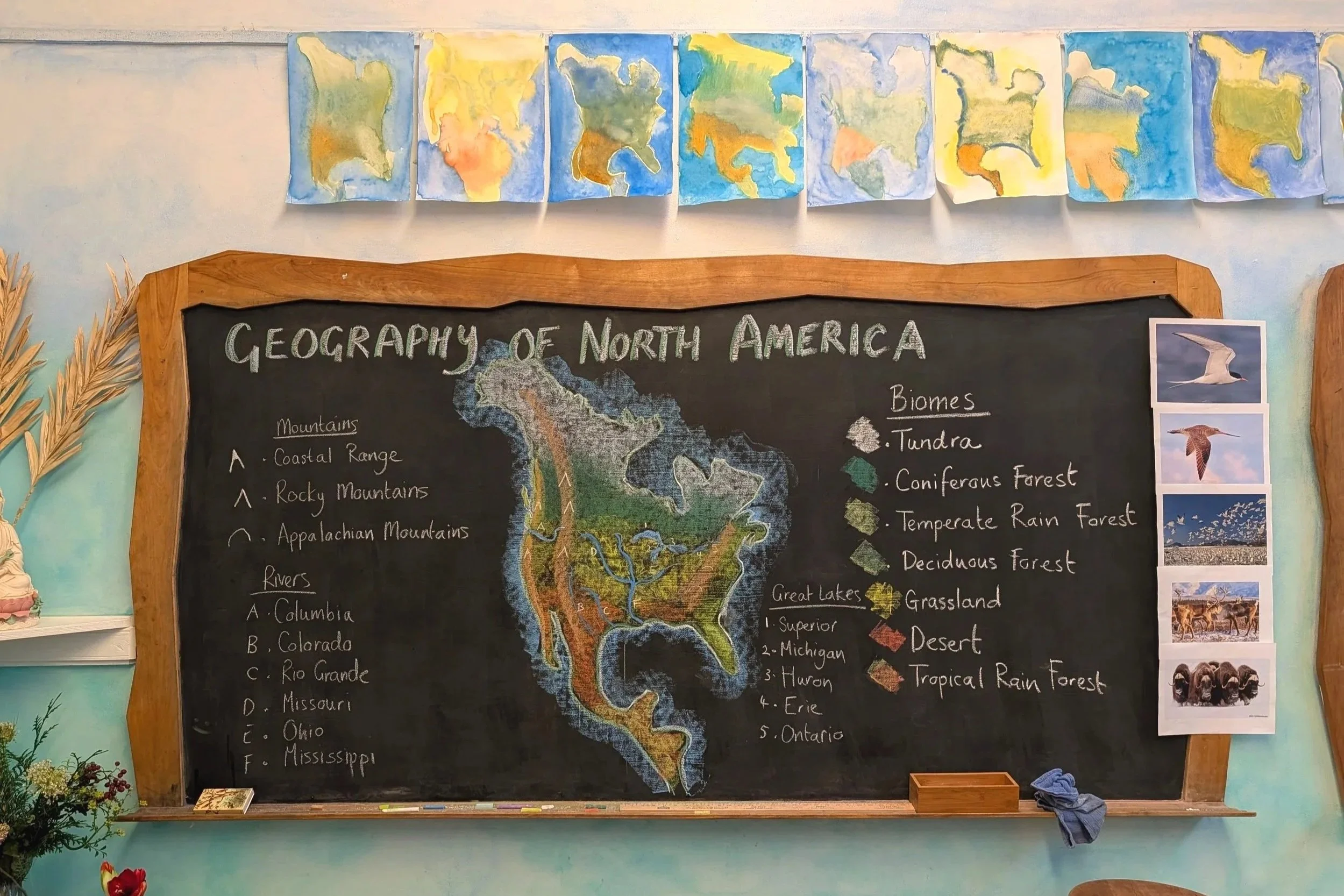 A Deeper Picture of Student Growth: How Waldorf Schools Approach Assessment