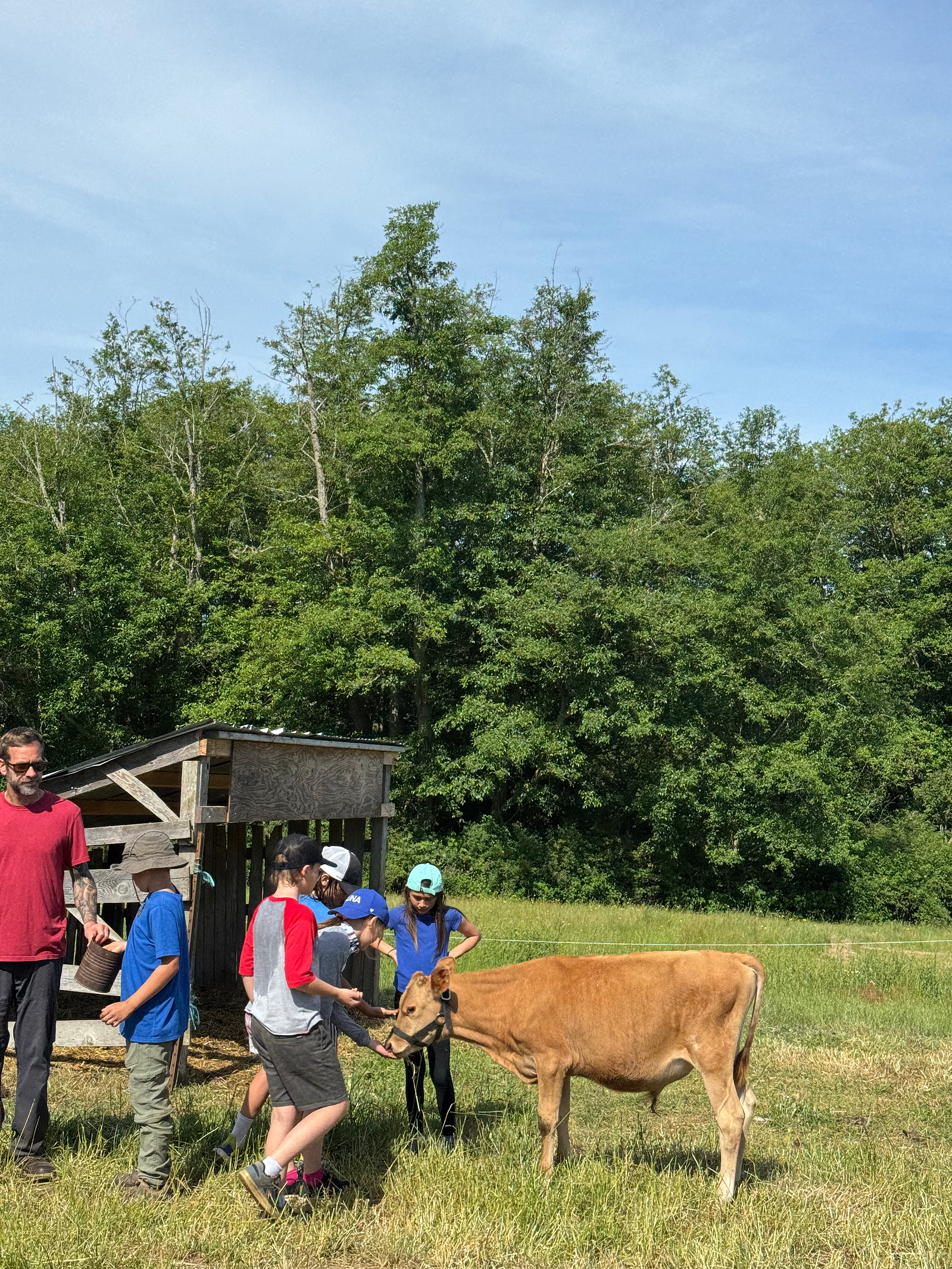 3rd Grade Happy Valley Farm 2.png