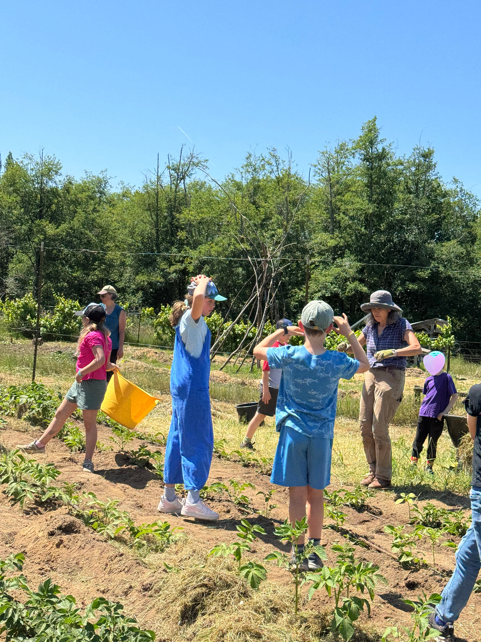 3rd Grade Happy Valley Farm 3.png