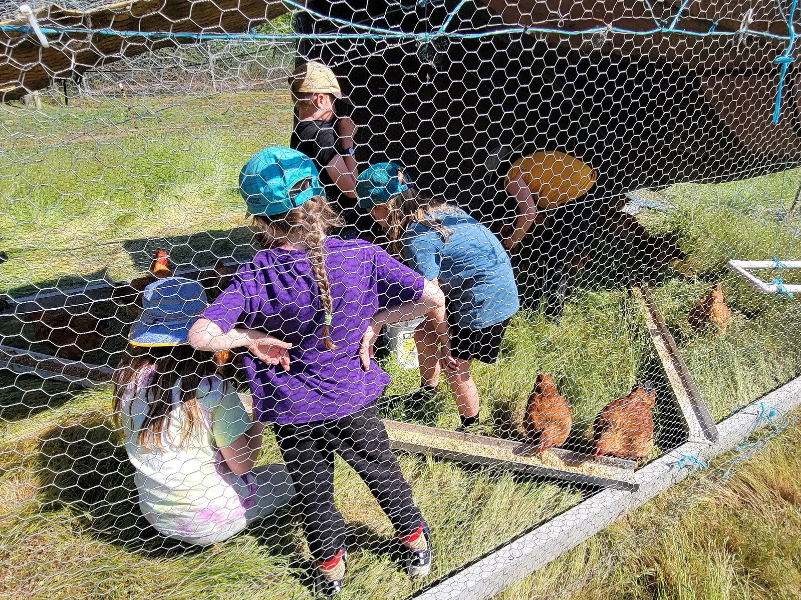 3rd Grade Happy Valley Farm 6.jpg