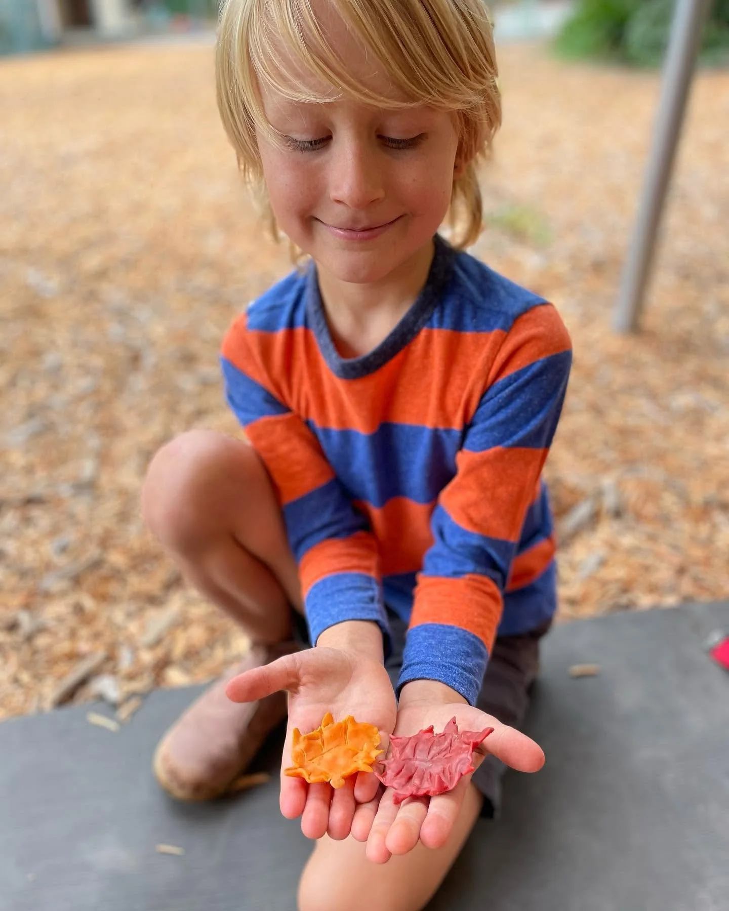 2nd grade beeswax.jpg