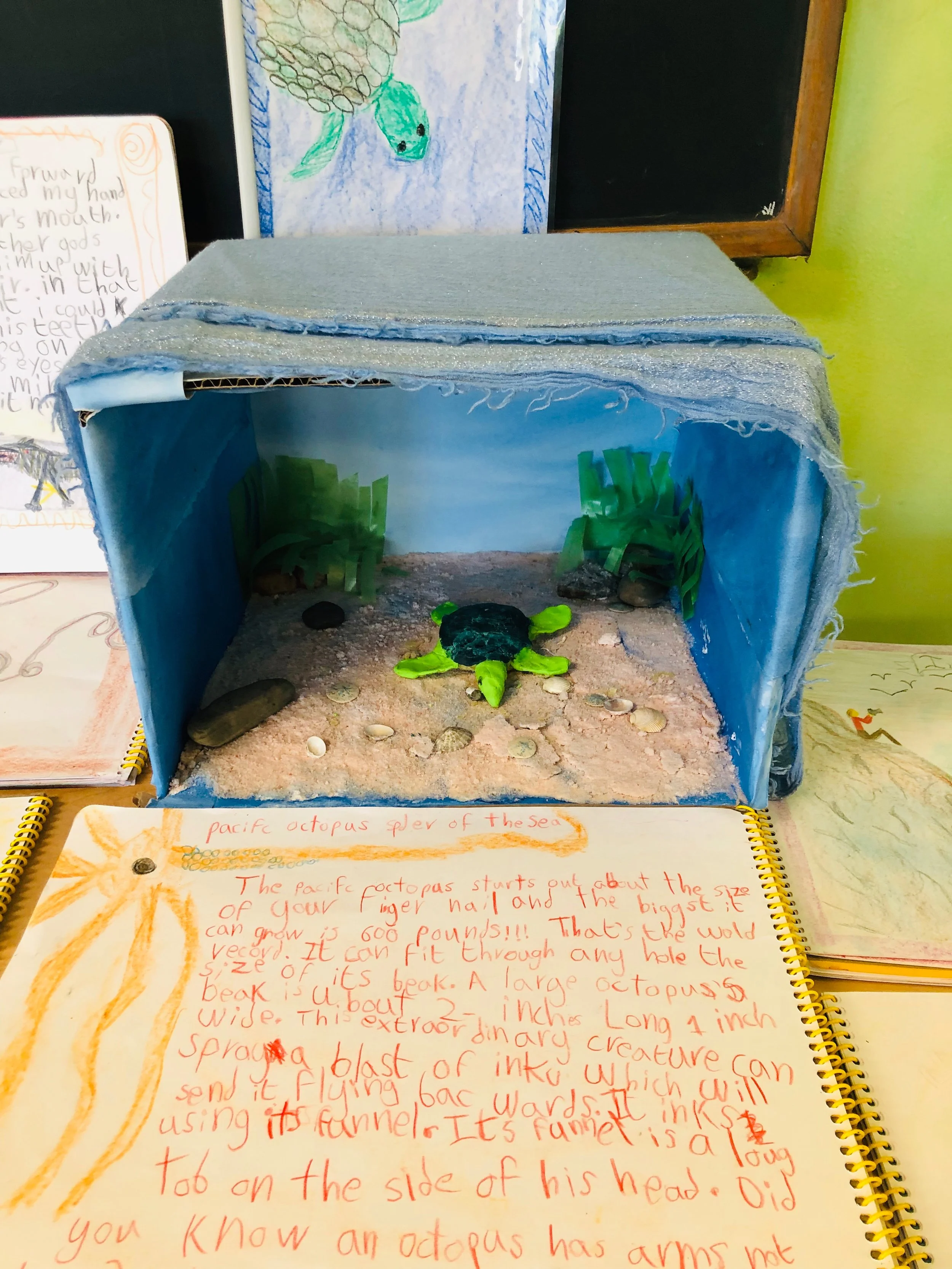 4th Grade_Animal_Project (1).JPEG