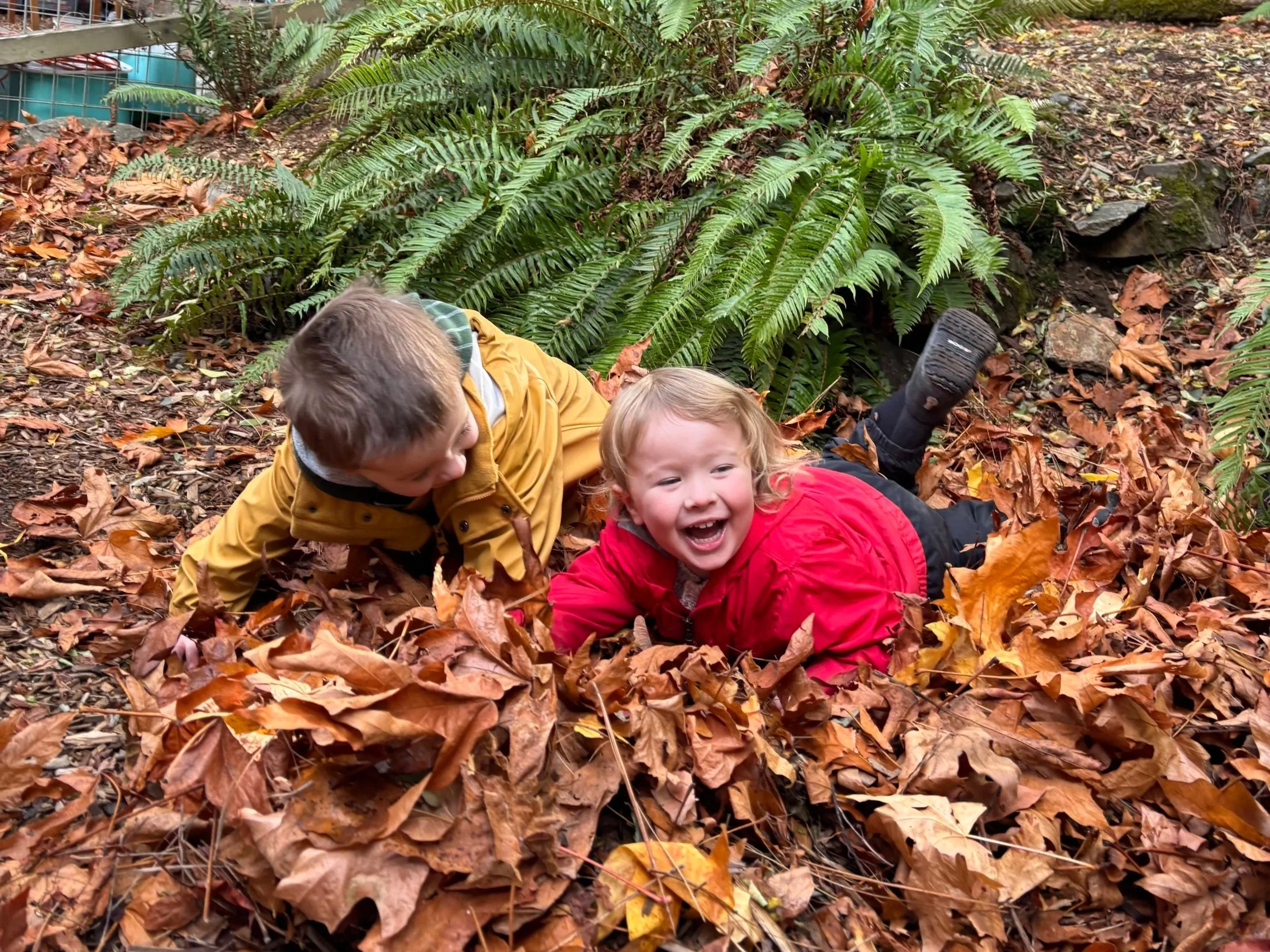 Students laughing in a pile of leaves