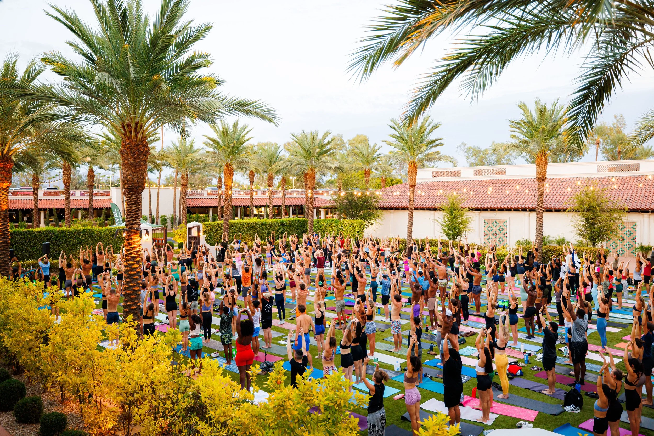 Group of people participating in outdoor yoga class among palm trees