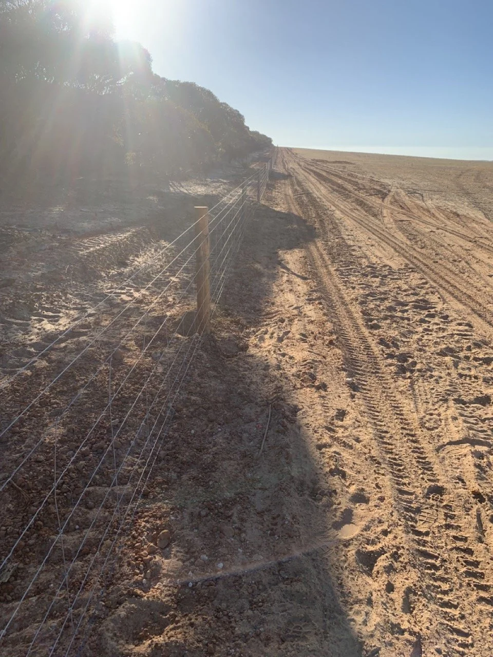A dirt road bordered by a wire fence on the left, with tire tracks and footprints in the sand. The sky is clear and the sun is shining brightly, casting shadows and a glare over the scene.