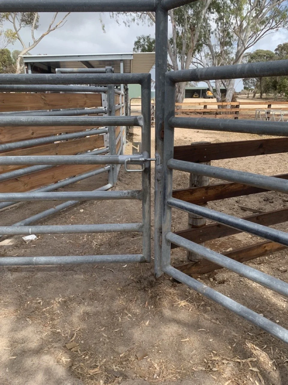 Metal farm gate with a lock latch, leading into a fenced area outdoors with dirt ground and wooden and metal fencing, trees in the background.