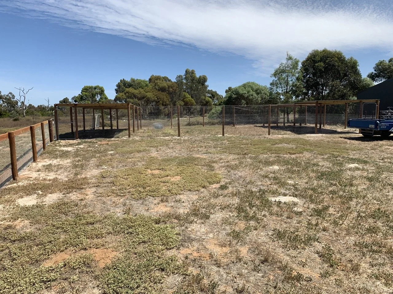 Outdoor fenced area with sections for animals, surrounded by trees and an open sky.