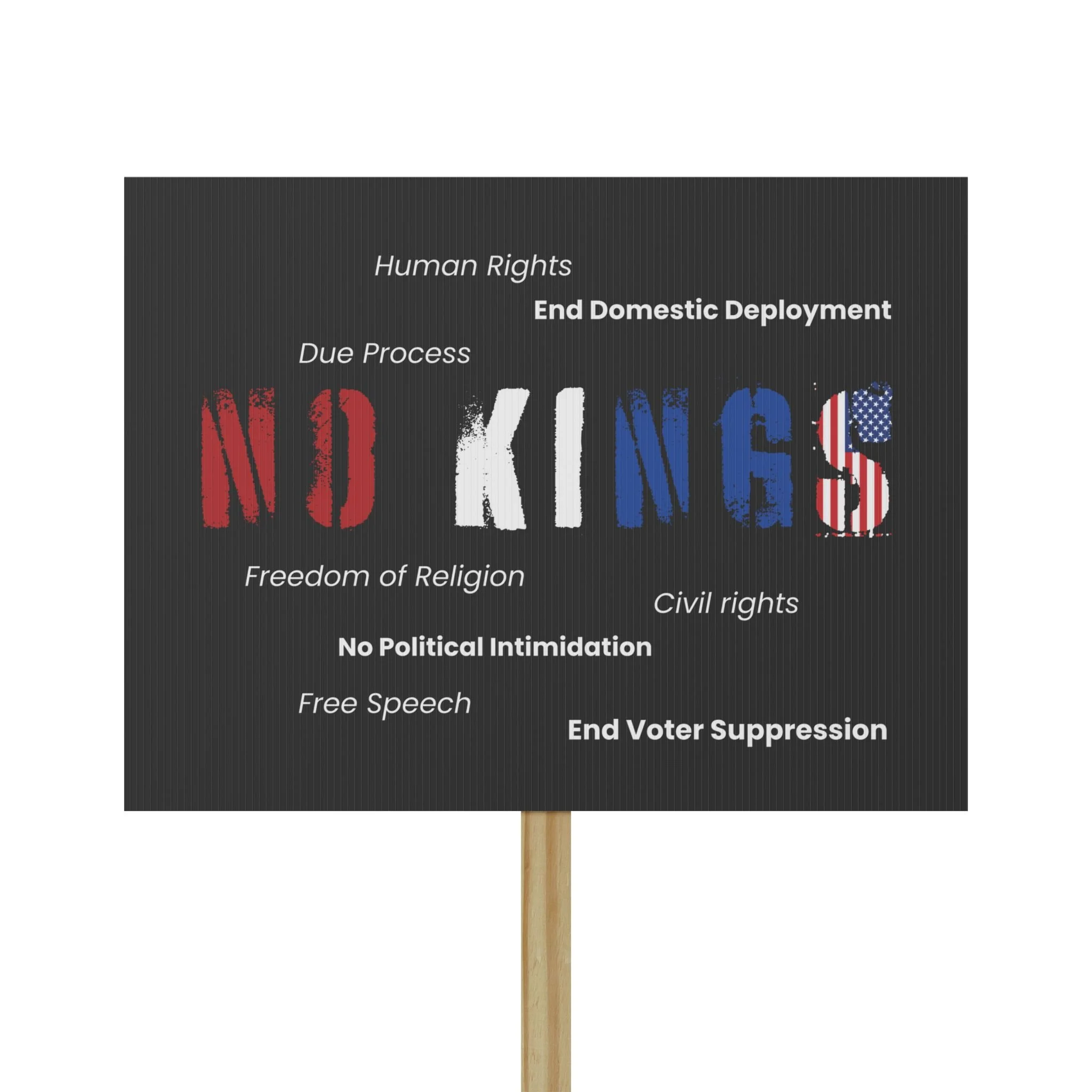 No Kings 18x24 protest sign black background red white blue text wood handle