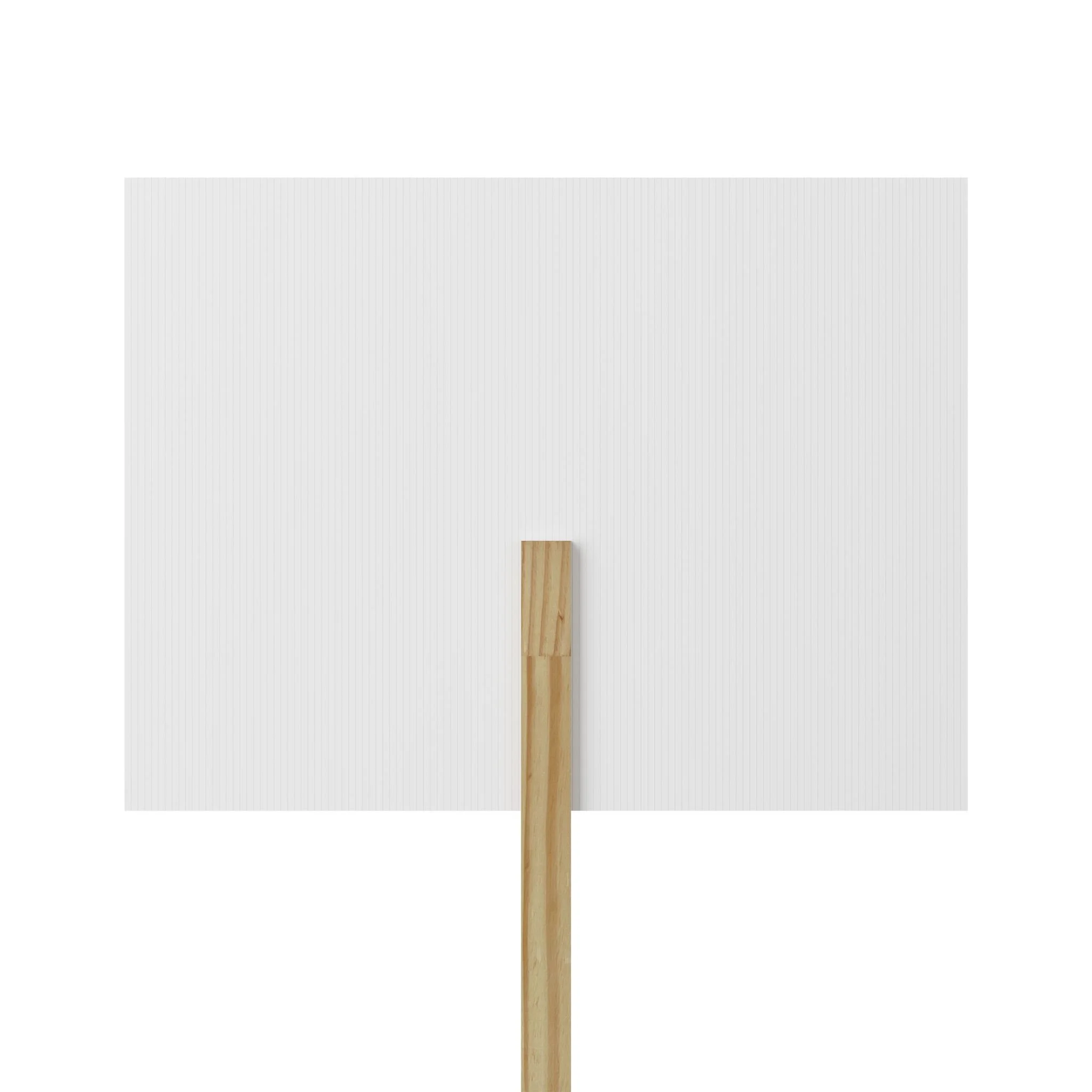 Anti-authoritarian protest sign No Kings voter suppression human rights civil rights