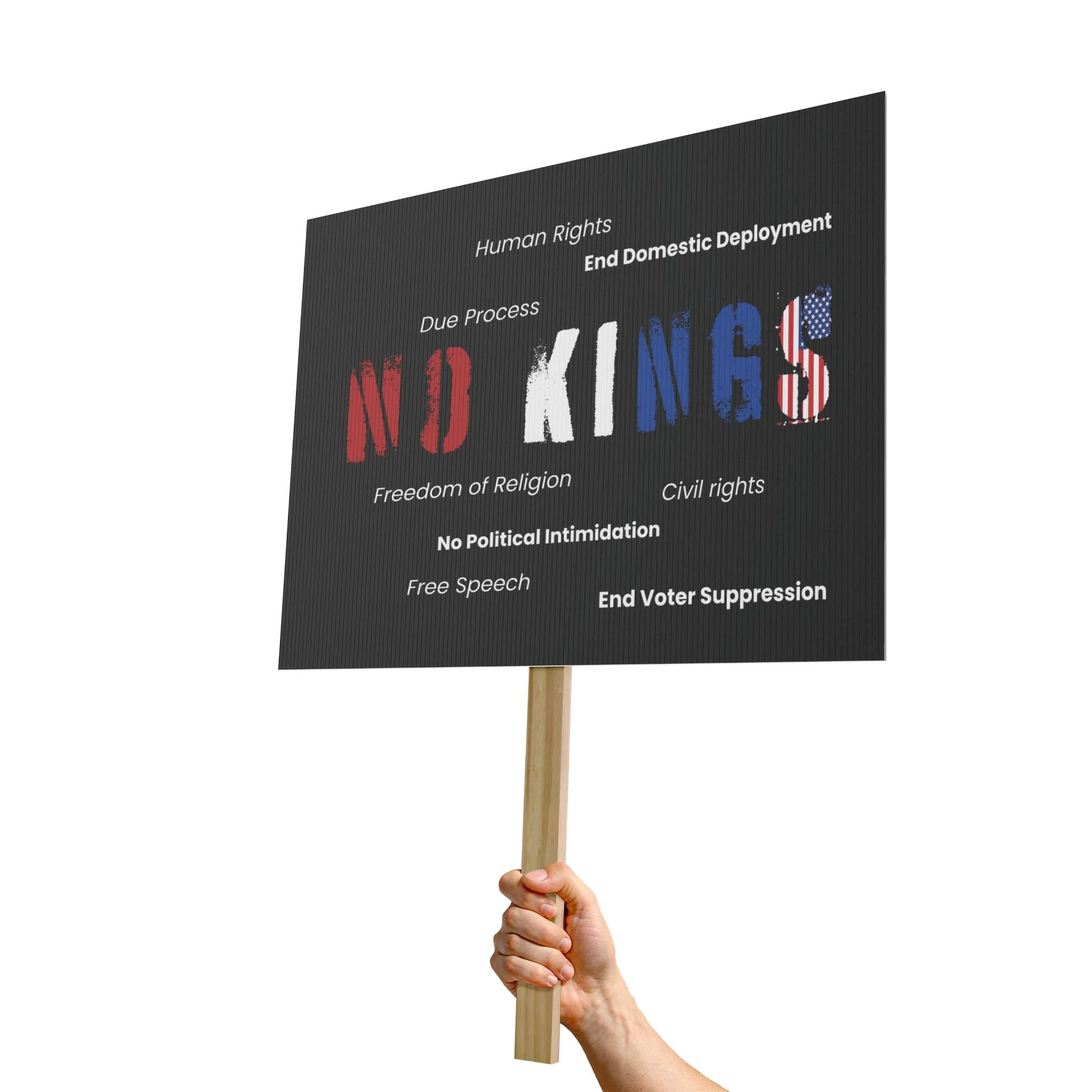 Black rally sign No Kings with 7 demands free speech due process activism