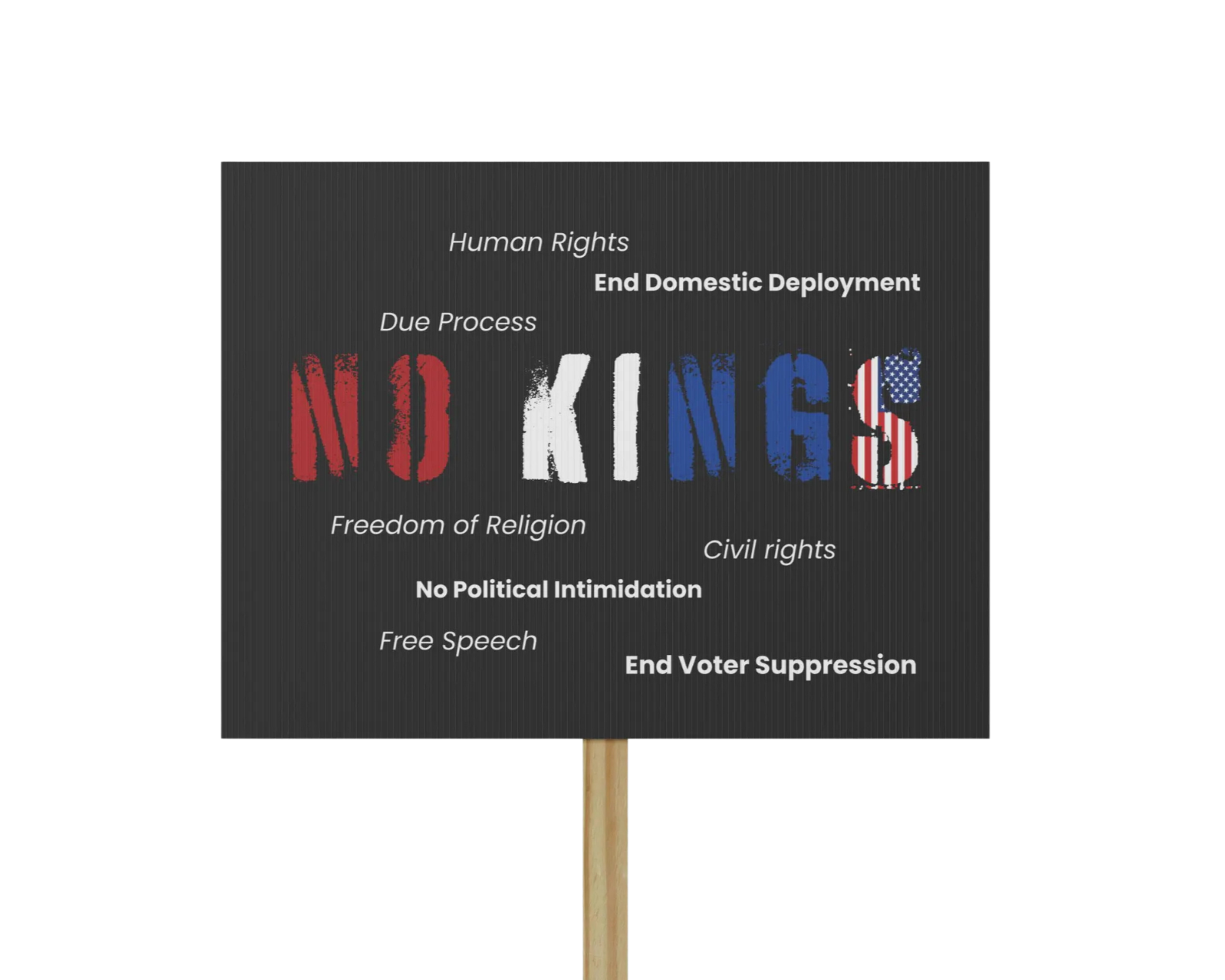 No Kings Protest 2026: Why We March, Why We Make Signs, and Why It Matters