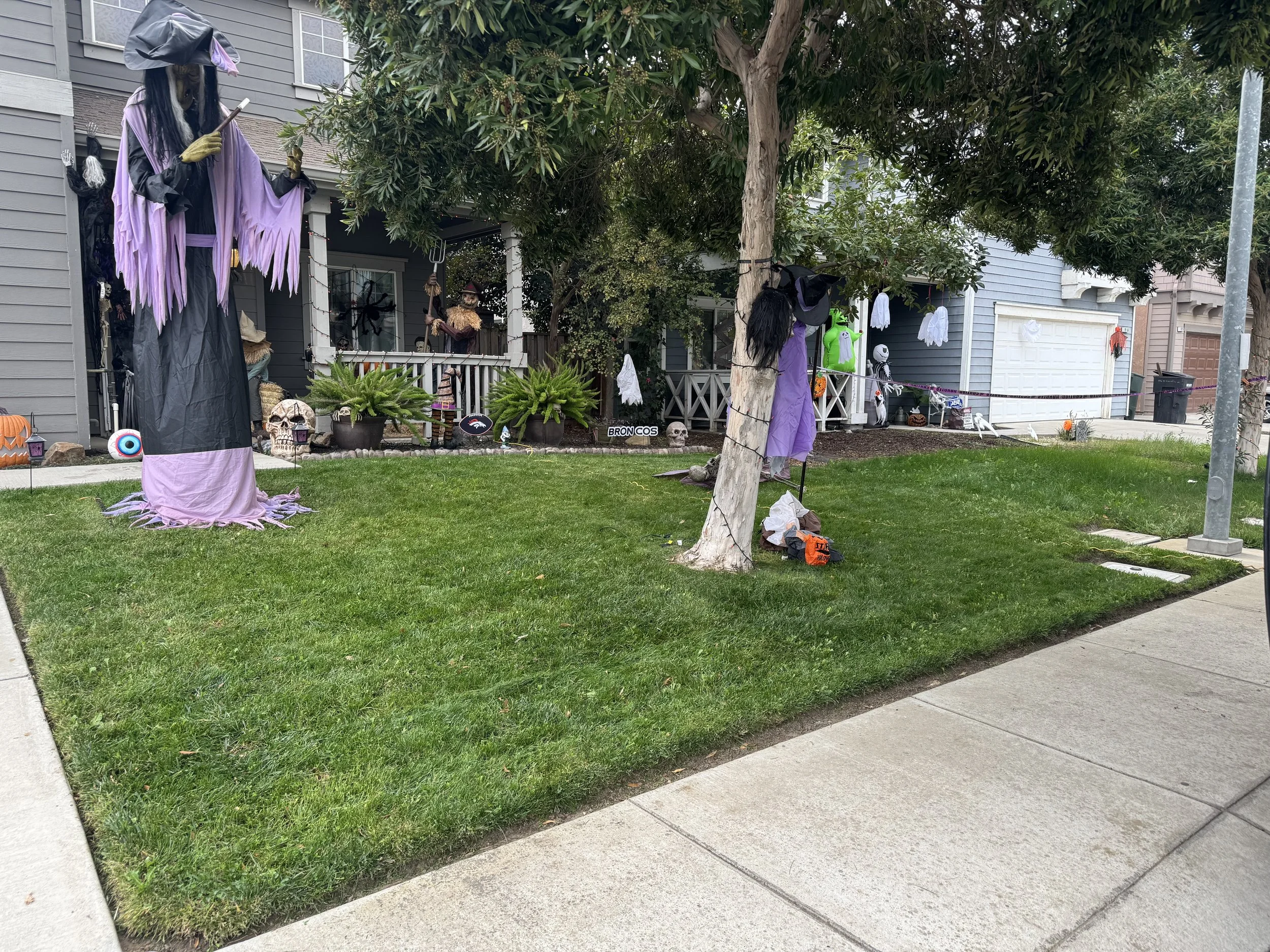 Residential front yard decorated for Halloween with large witch and scarecrow figures, pumpkins, skulls, skeleton, ghosts, and spooky decorations.