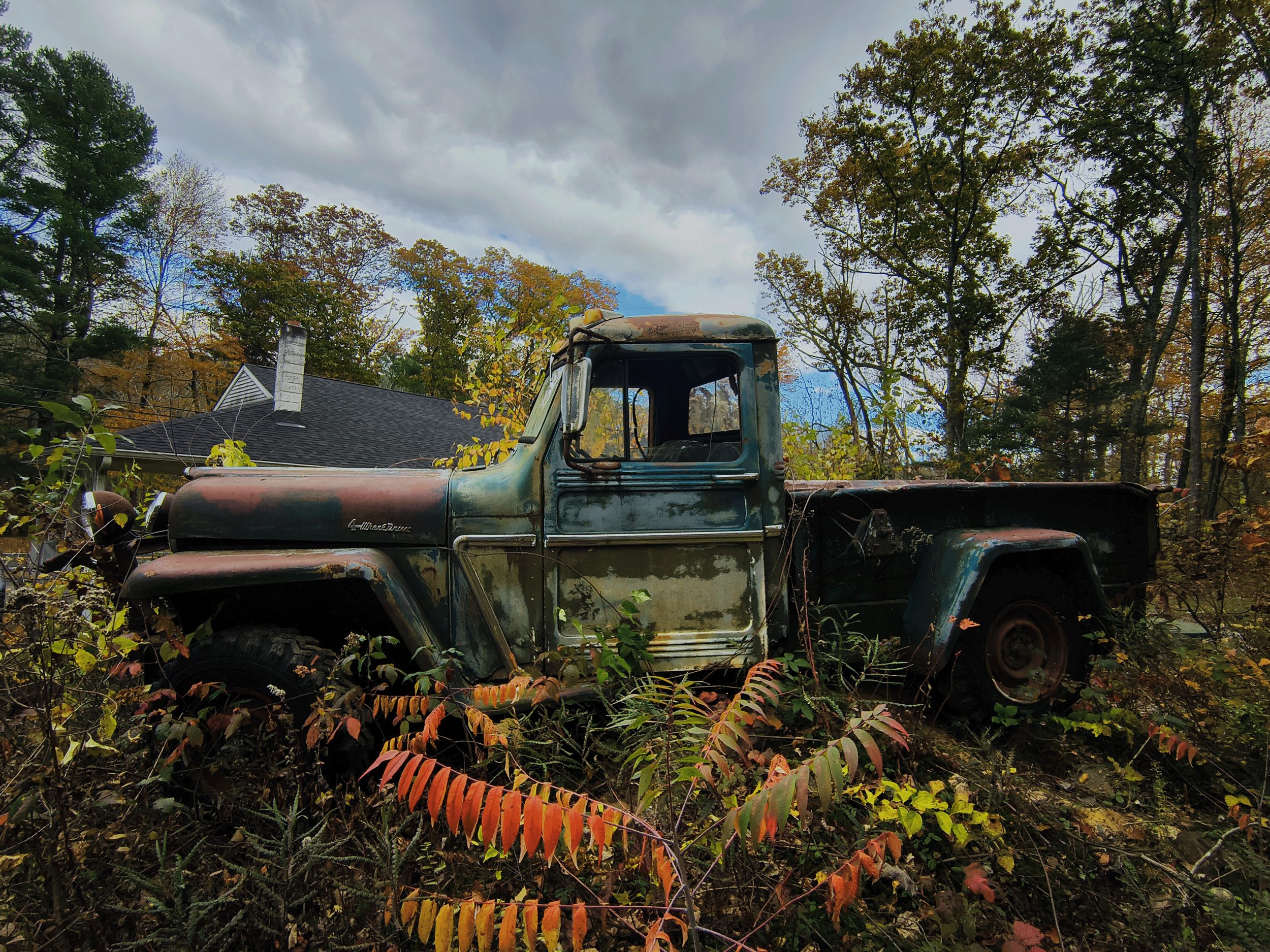 An old, rusted pickup truck overgrown with plants in an outdoor setting with trees and a house in the background.