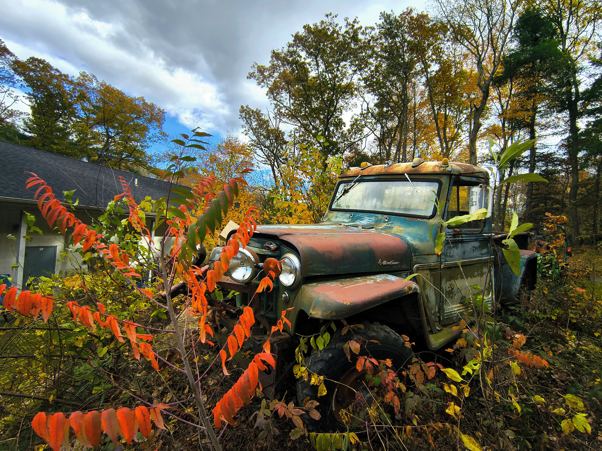 An old, rusted pickup truck parked in an overgrown area with autumn foliage and trees in the background.