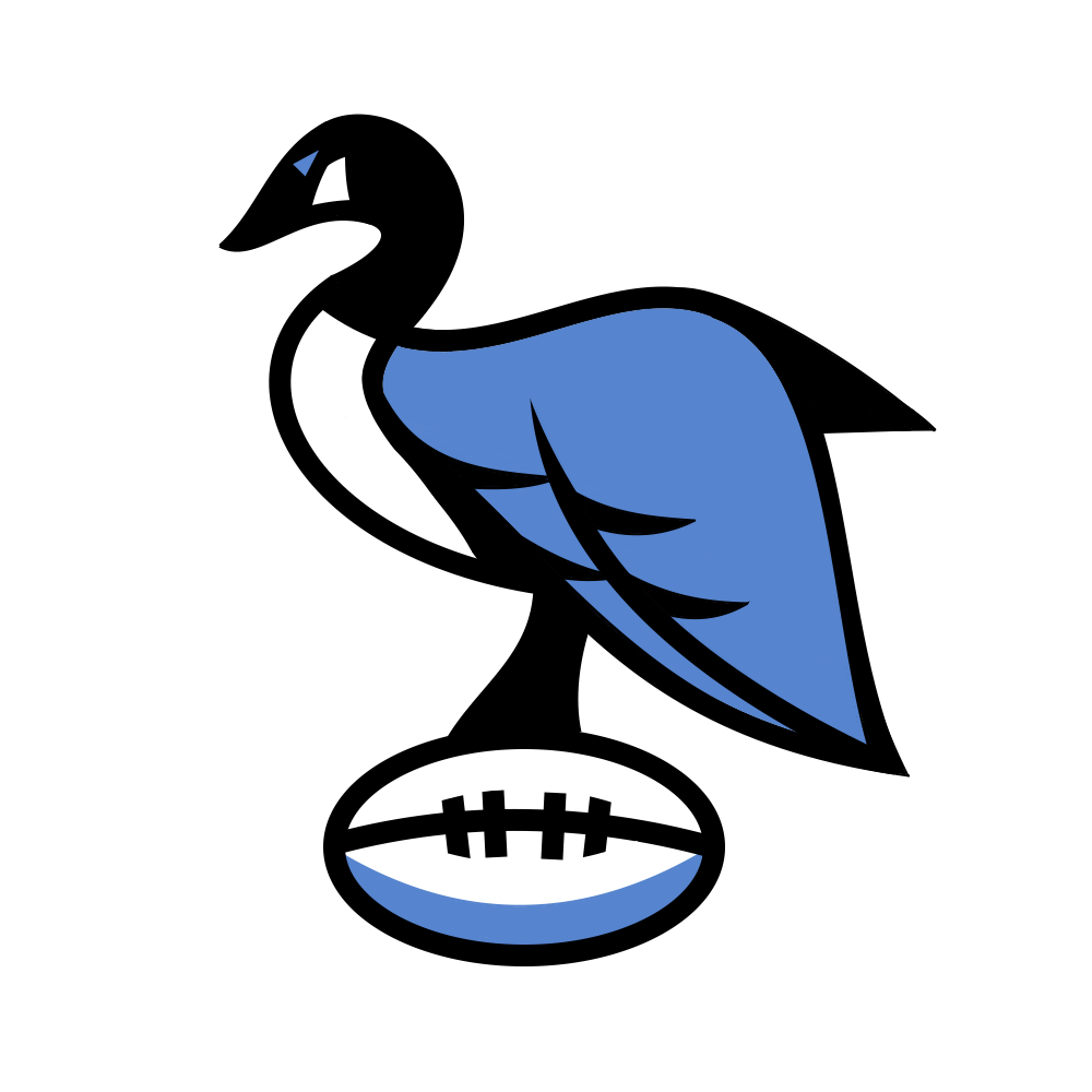 Chicago's North Side Rugby Community