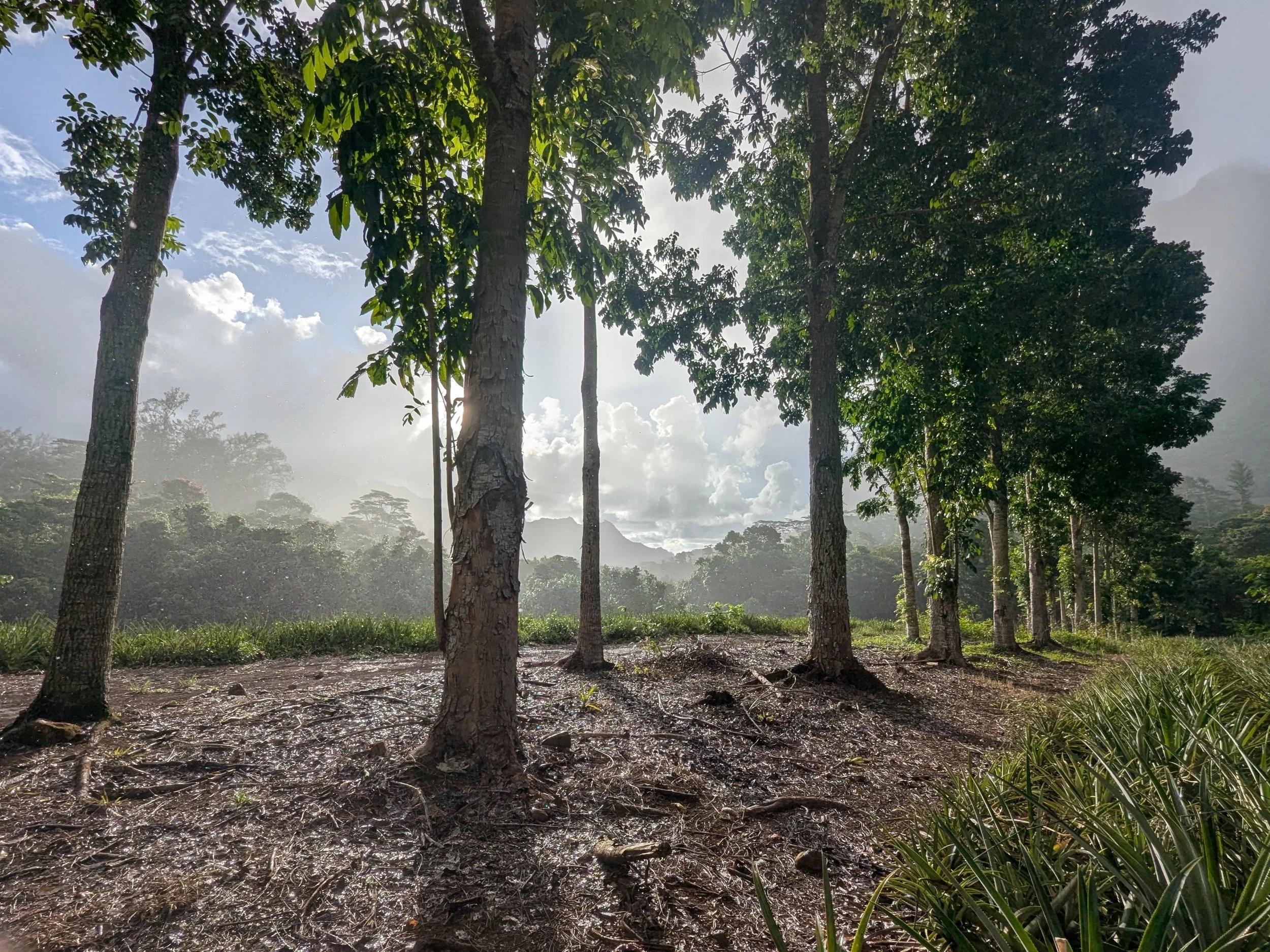 Landscape Photography