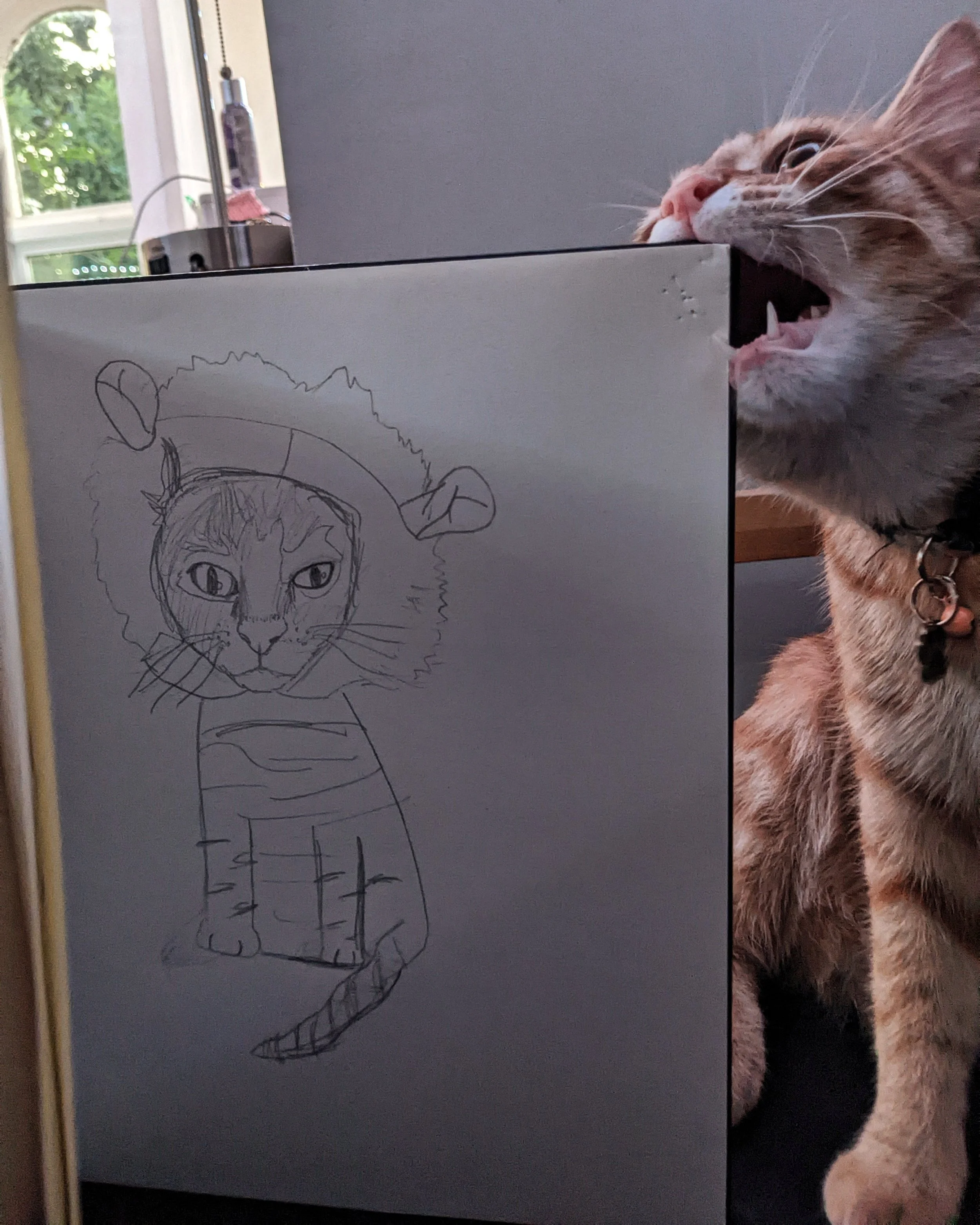 Drawing